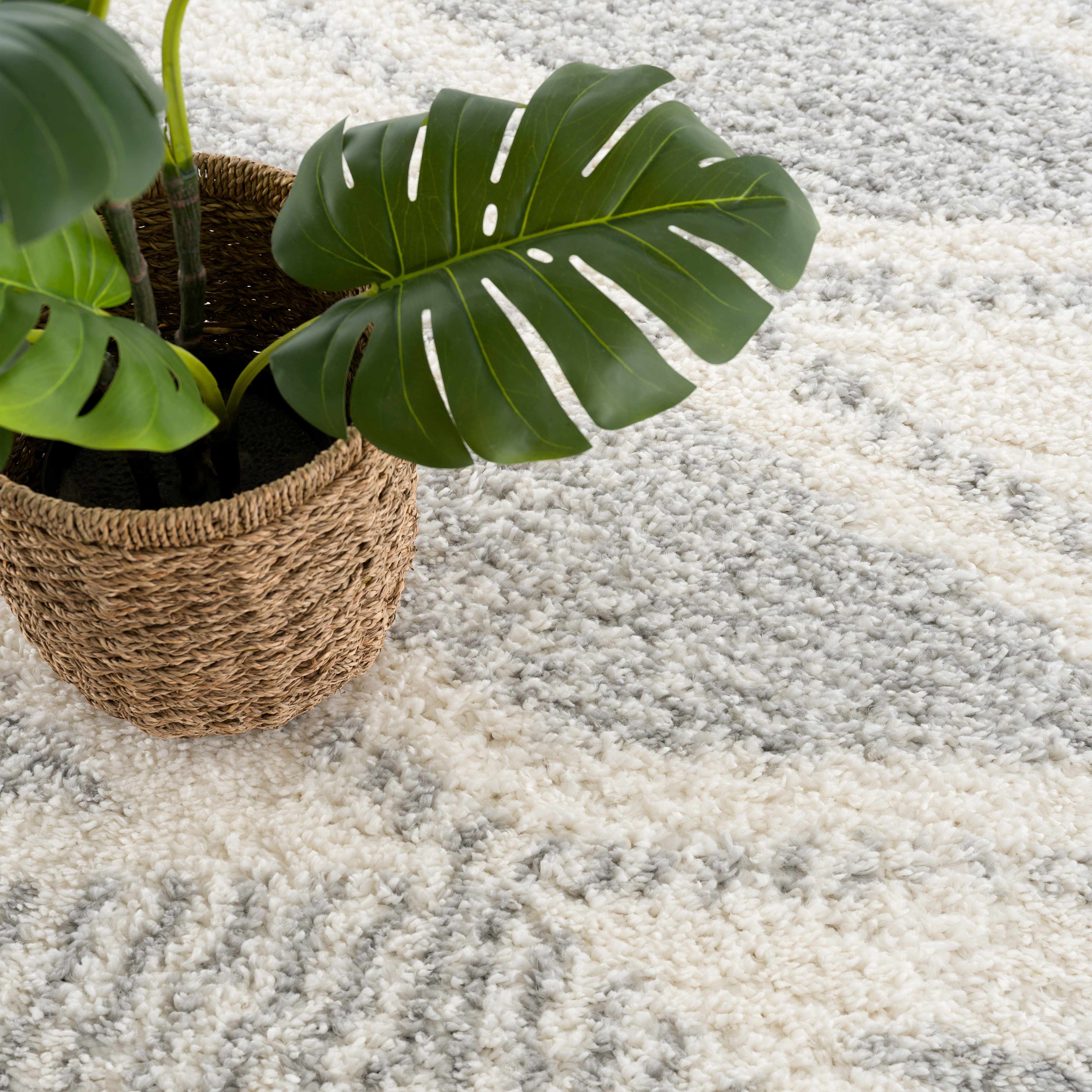 Trunding Plush Area Rug in Gray - Decor Addict, LLC