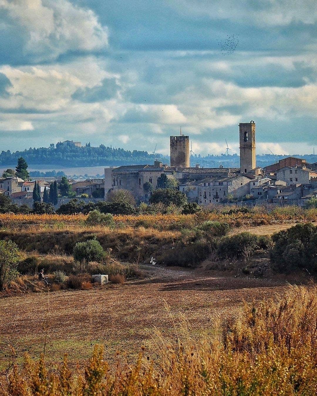 Traditional hoop vase.: S - Decor Addict, LLC