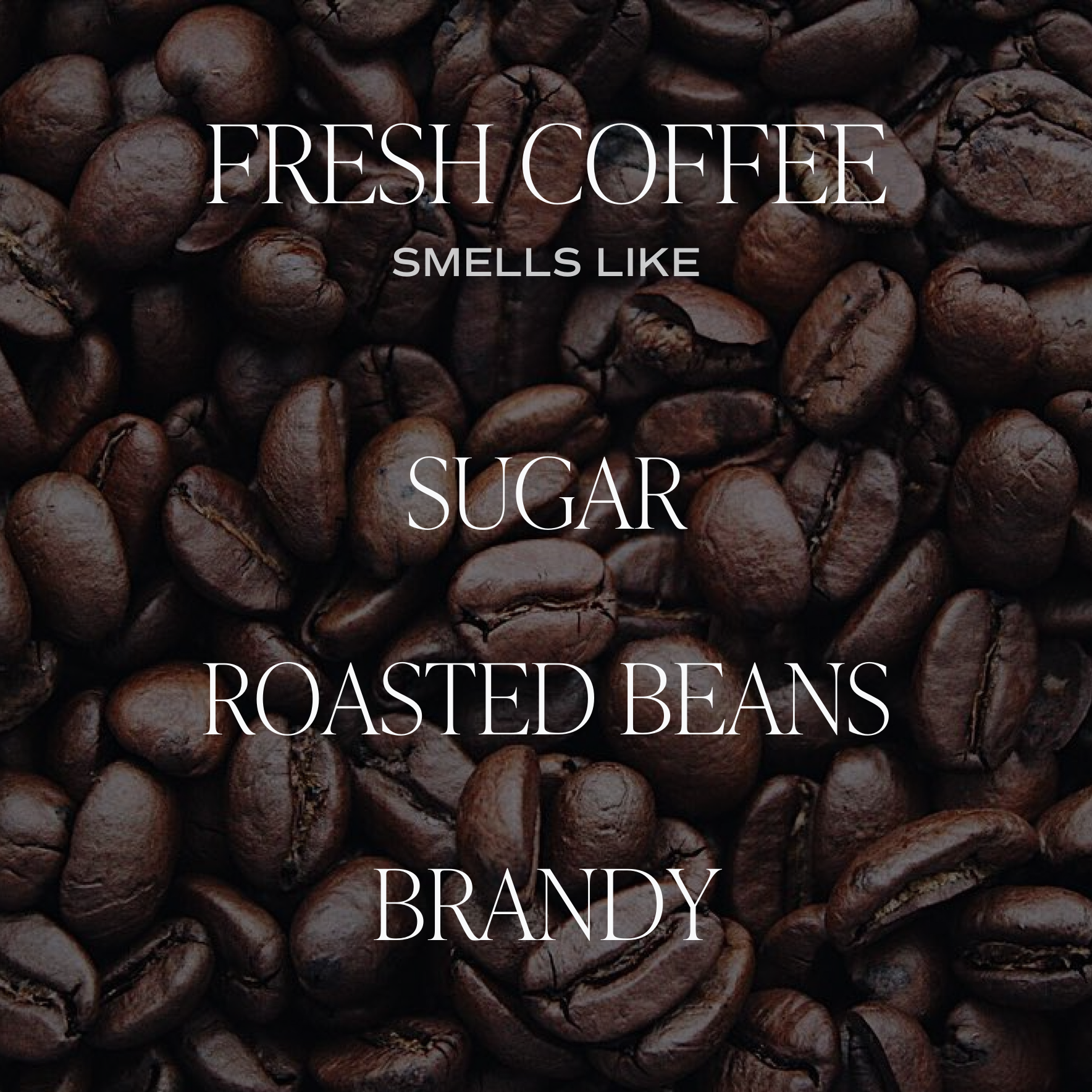 Fresh Coffee Soy Candle - White Jar - 11 oz - Decor Addict, LLC