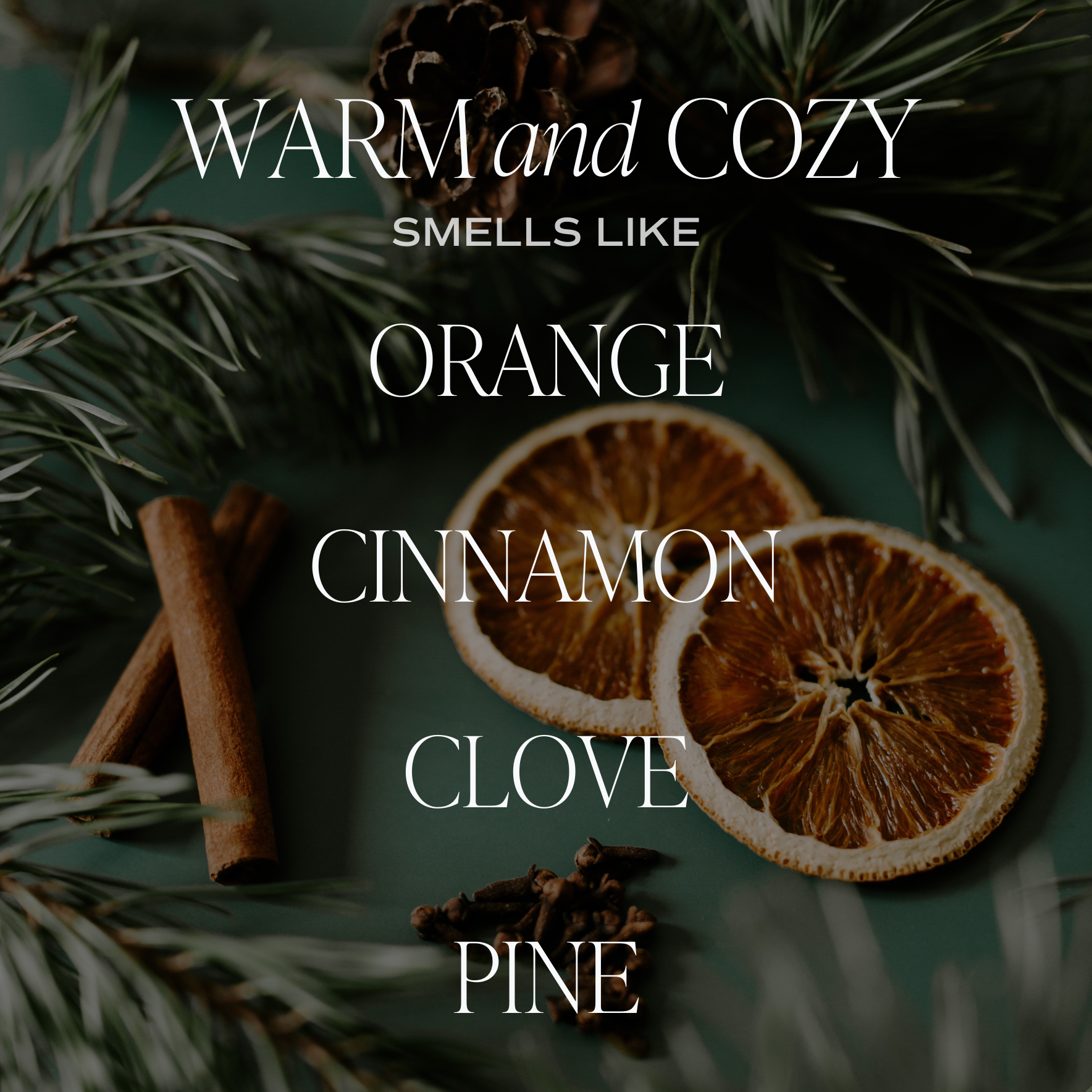 Warm and Cozy Amber Reed Diffuser - Decor Addict, LLC