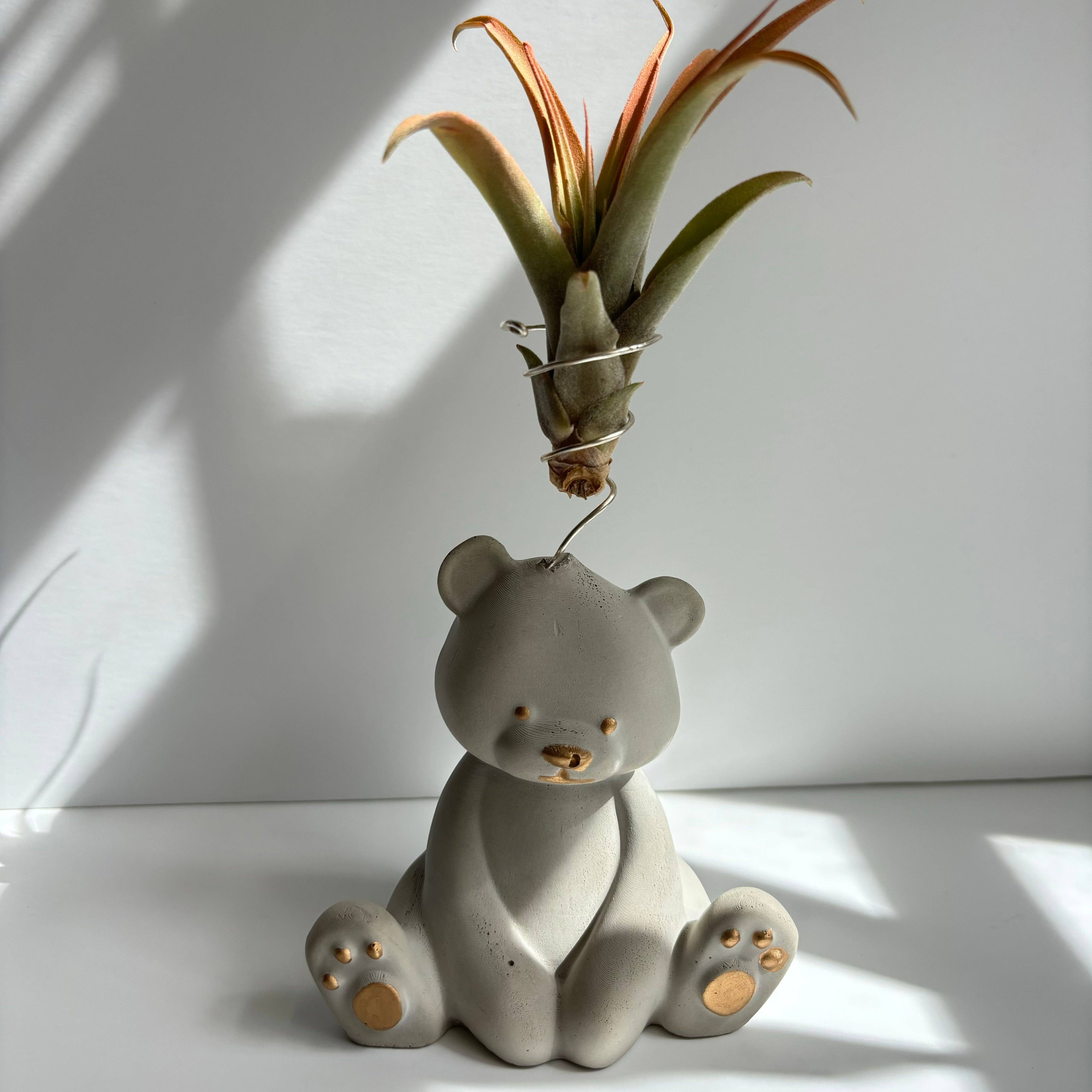 Bear Air Plant Holder: Pink - Decor Addict, LLC