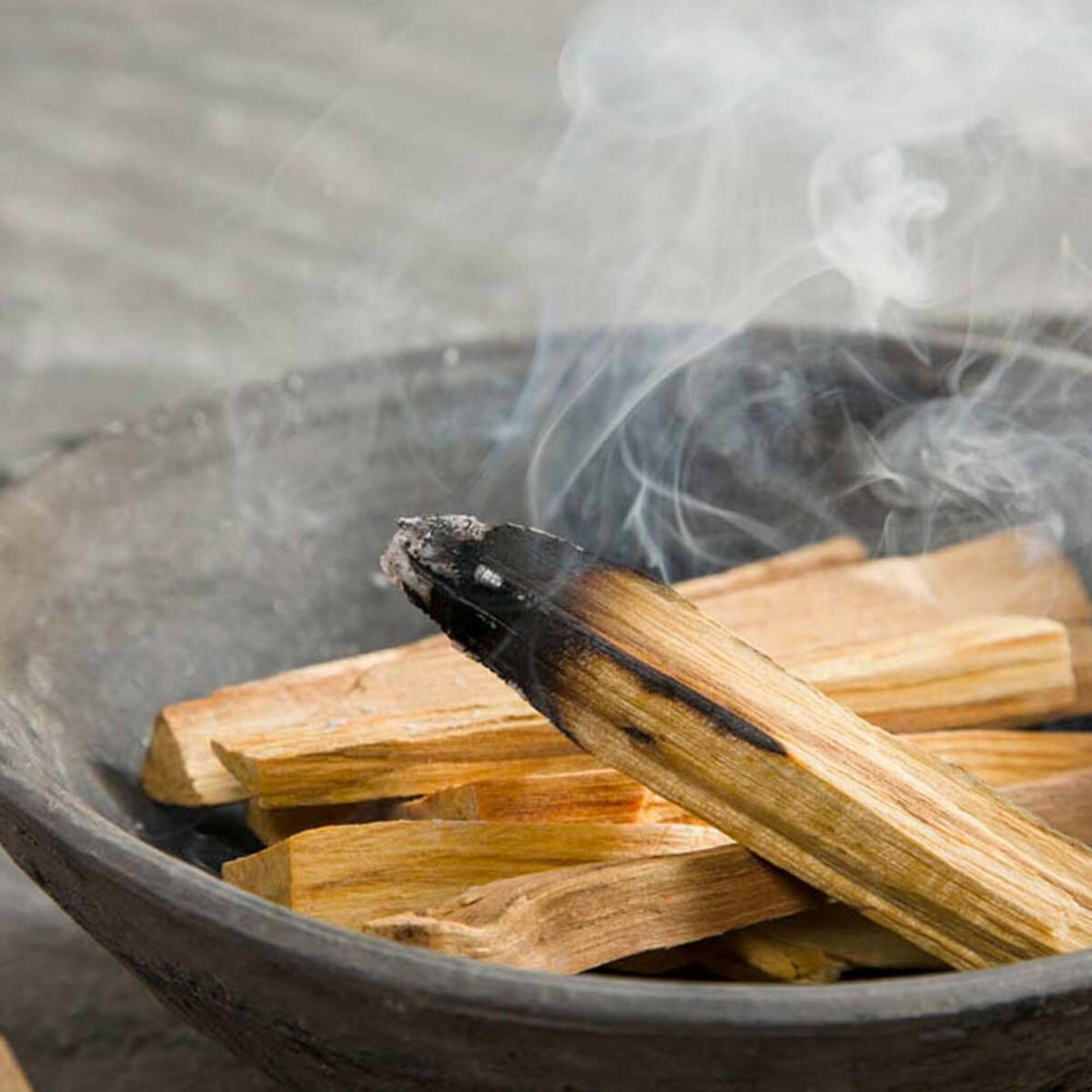 Palo Santo | Holy Wood Natural Incense Meditation Purifying - Decor Addict, LLC