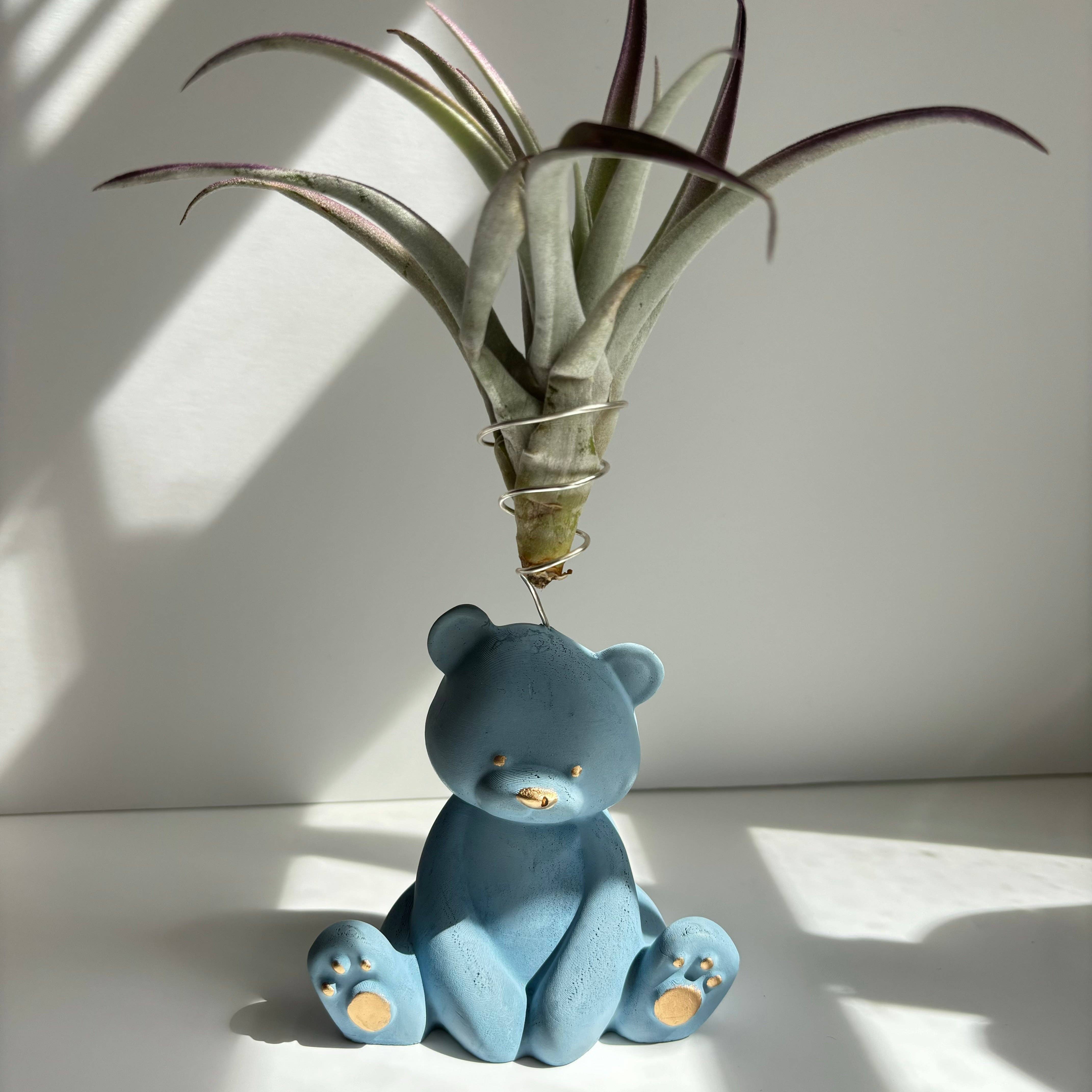 Bear Air Plant Holder: Black Noir - Decor Addict, LLC