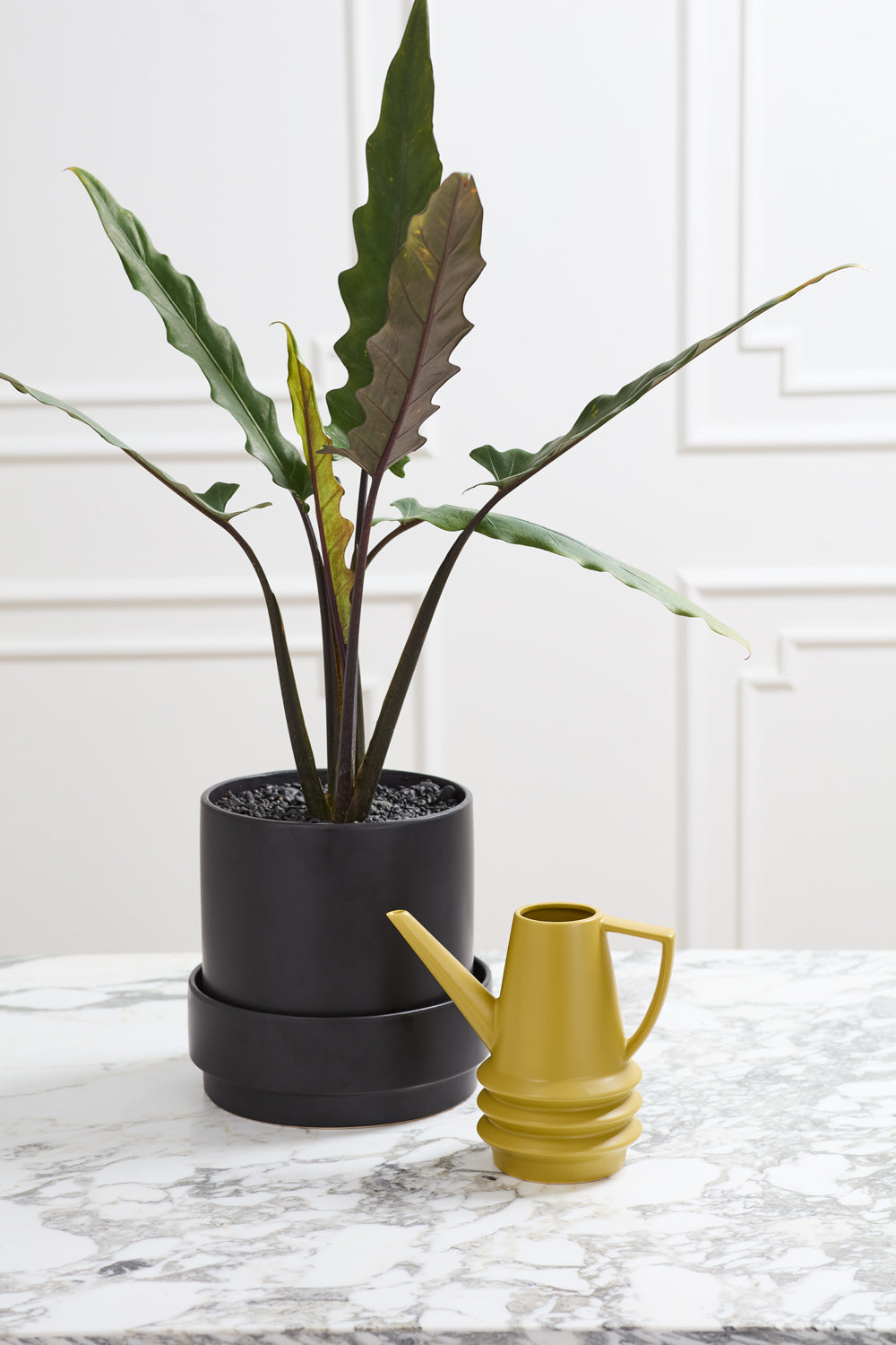 Laken Watering Can