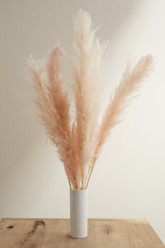 Pampas Grass Pack of 3 - 55in - Pink