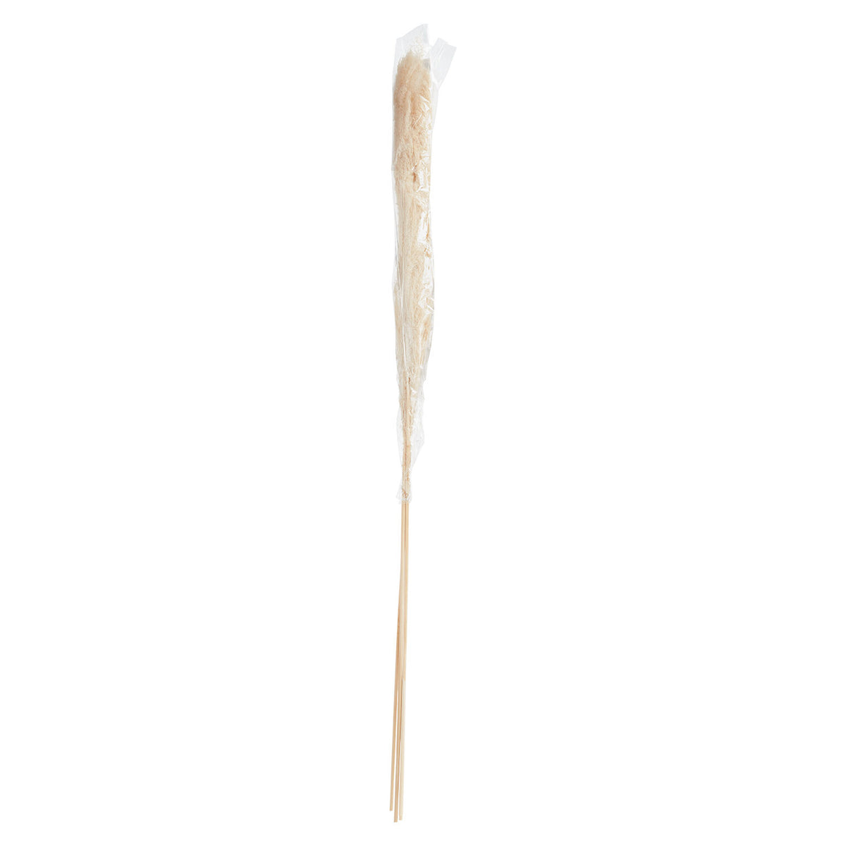 Pampas Grass Pack of 3 - 55in - Tan