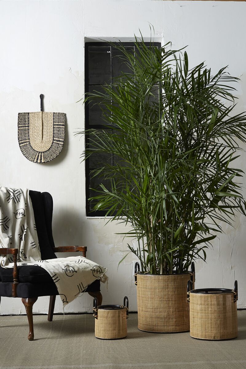 Sonder Fan 15.75"x 0.5"x 23.75" - Decor Addict, LLC