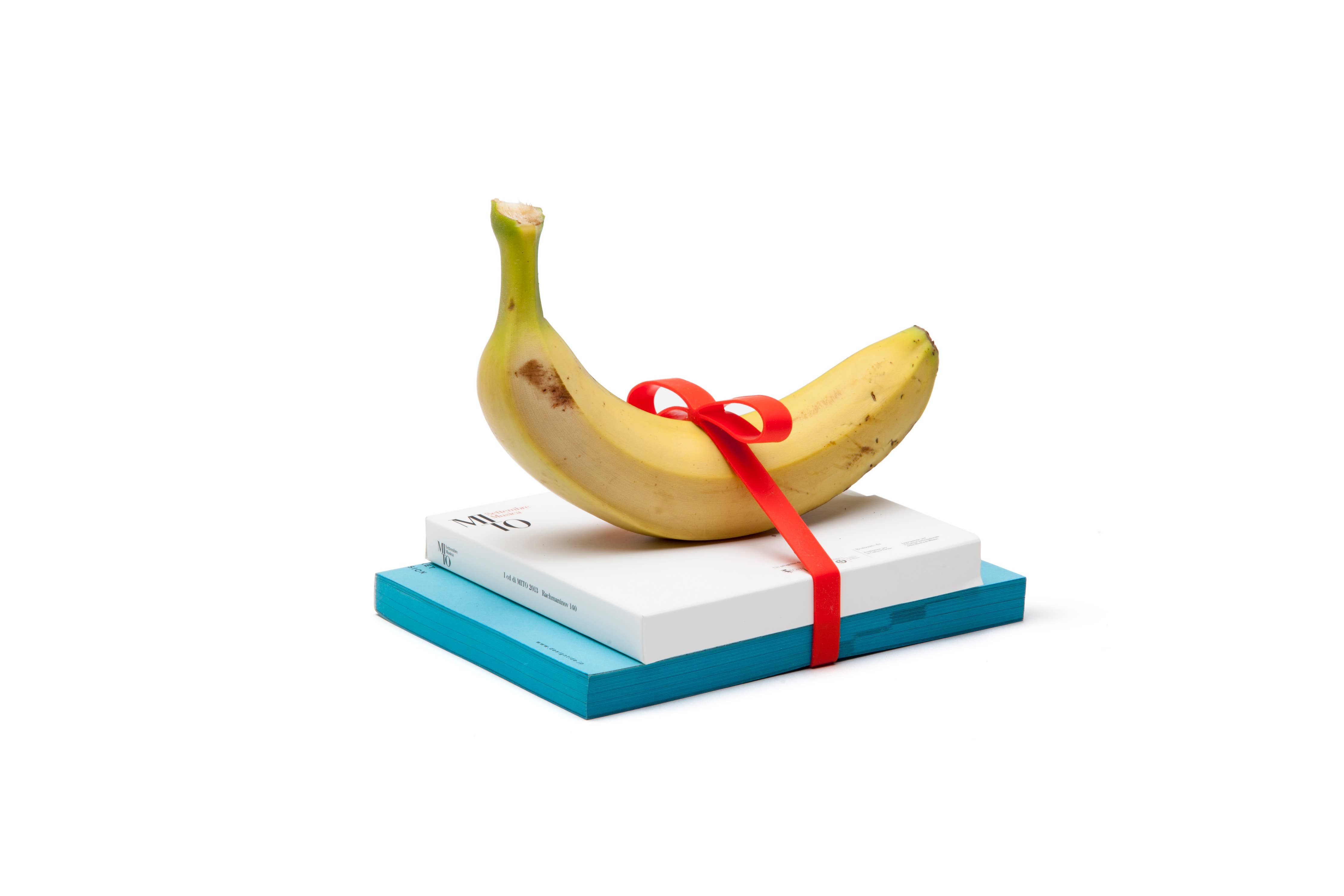 Gift wrapping elastic silicone ribbons | Gifted: Multicolour - Decor Addict, LLC