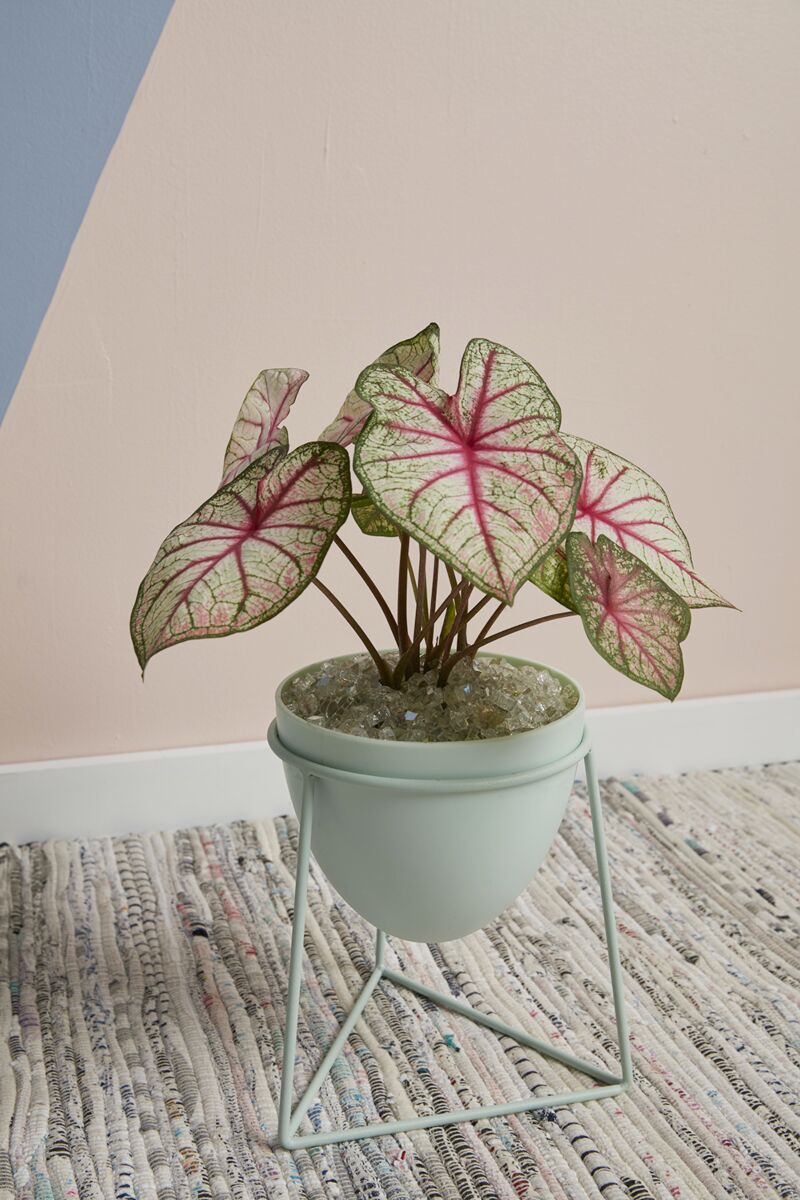 Kelly Plant Stand — 8" x 7.75" x 8.75" - Decor Addict, LLC