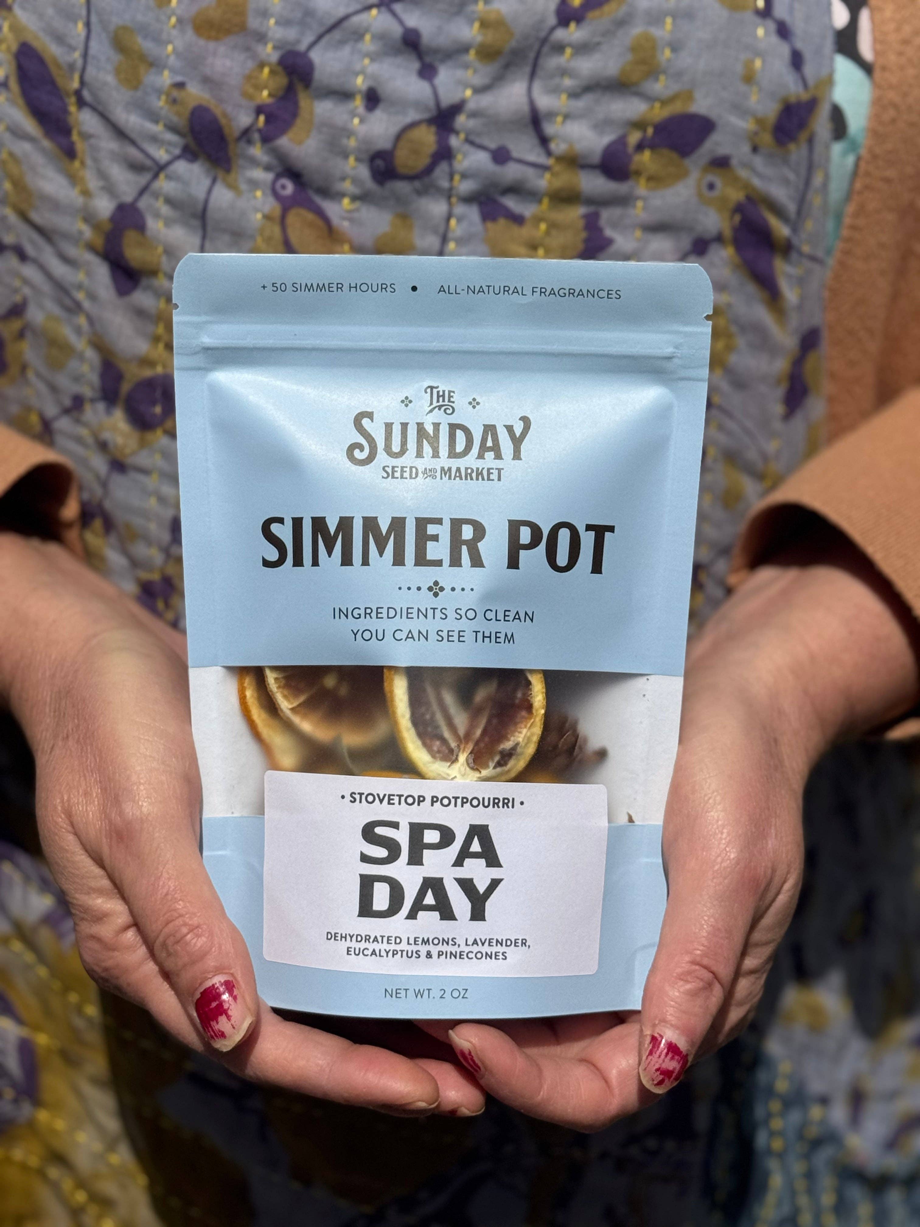 Spa Day Simmer Pot | Lemon Lavender Eucalyptus - Decor Addict, LLC