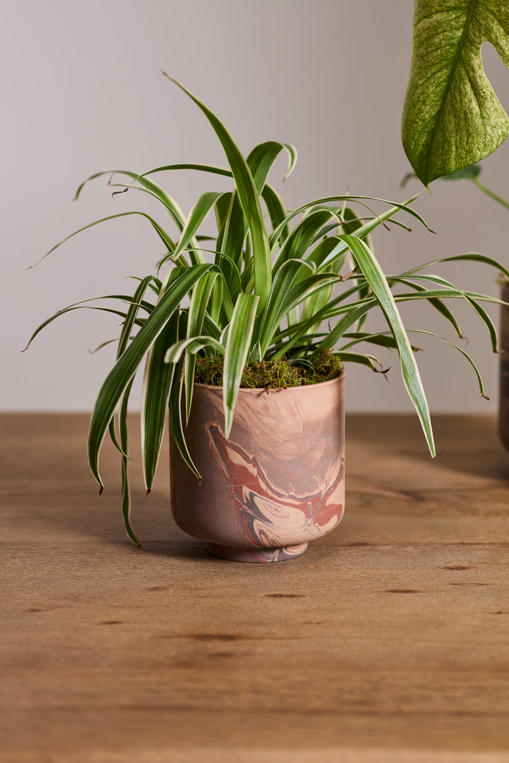 Tedros Pot