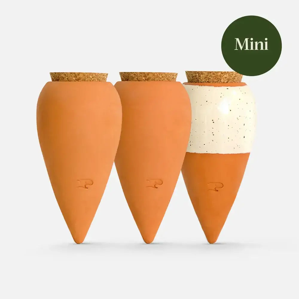 Box Trio Mini Ollas - the Iconics - Decor Addict, LLC