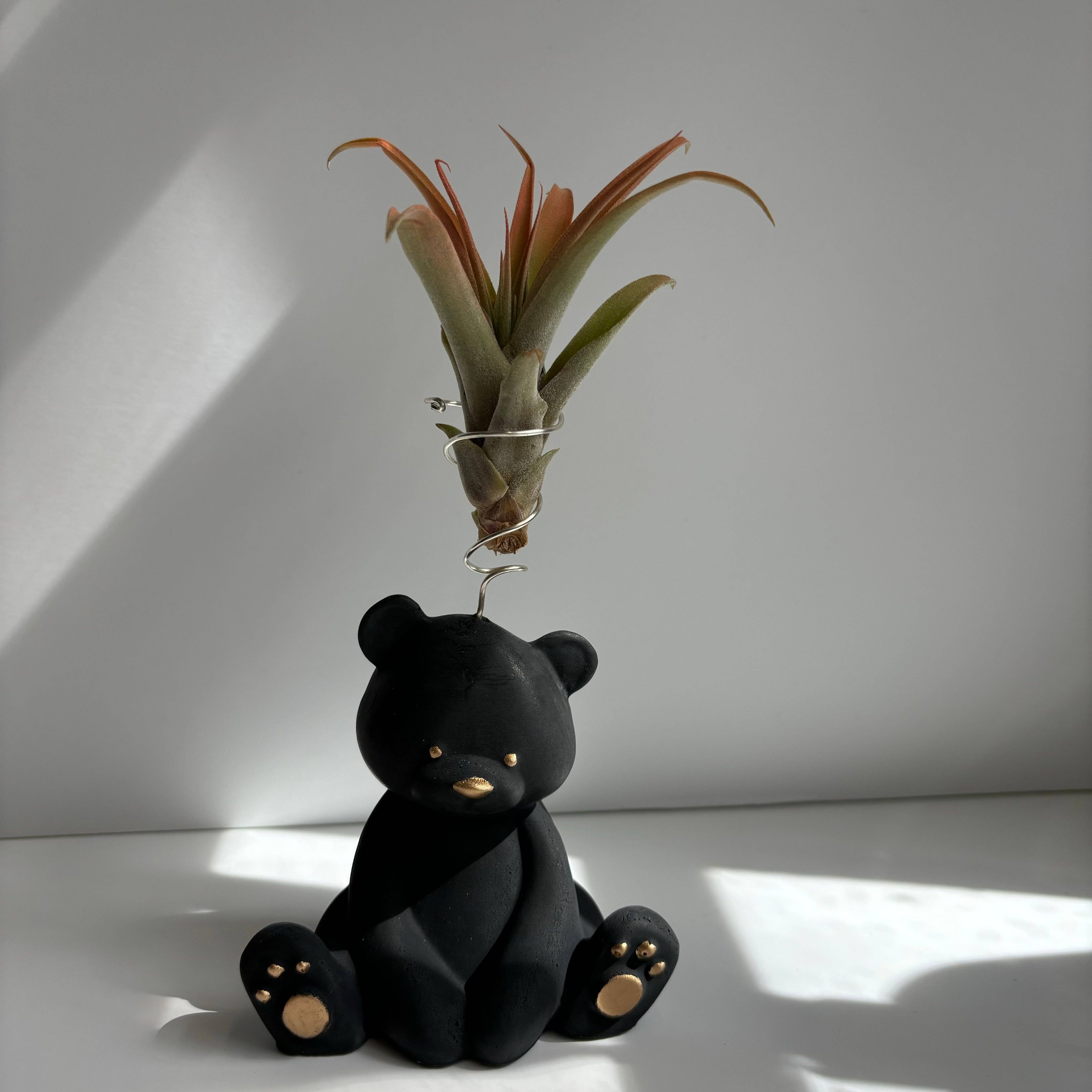 teddy bear air plant Bear Air Plant Holder: Black Noir – Decor Addict, LLC