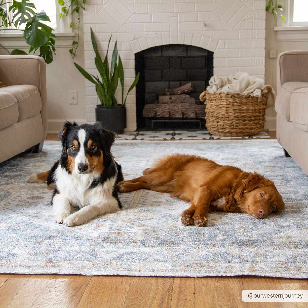 Afya Washable Area Rug - Decor Addict, LLC