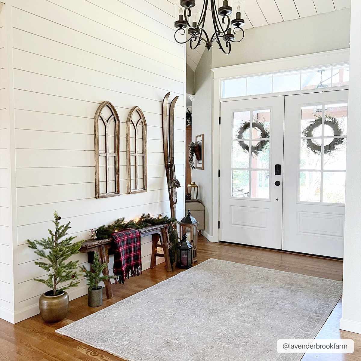 Albuquerque Area Rug - Decor Addict, LLC