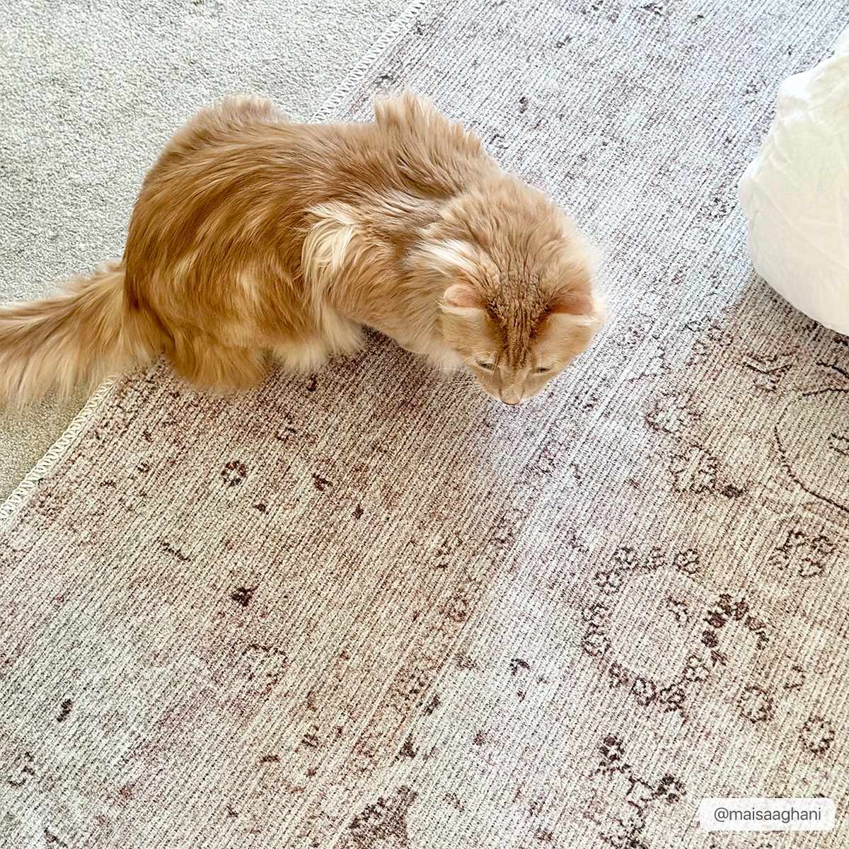 Bethany Washable Area Rug - Decor Addict, LLC