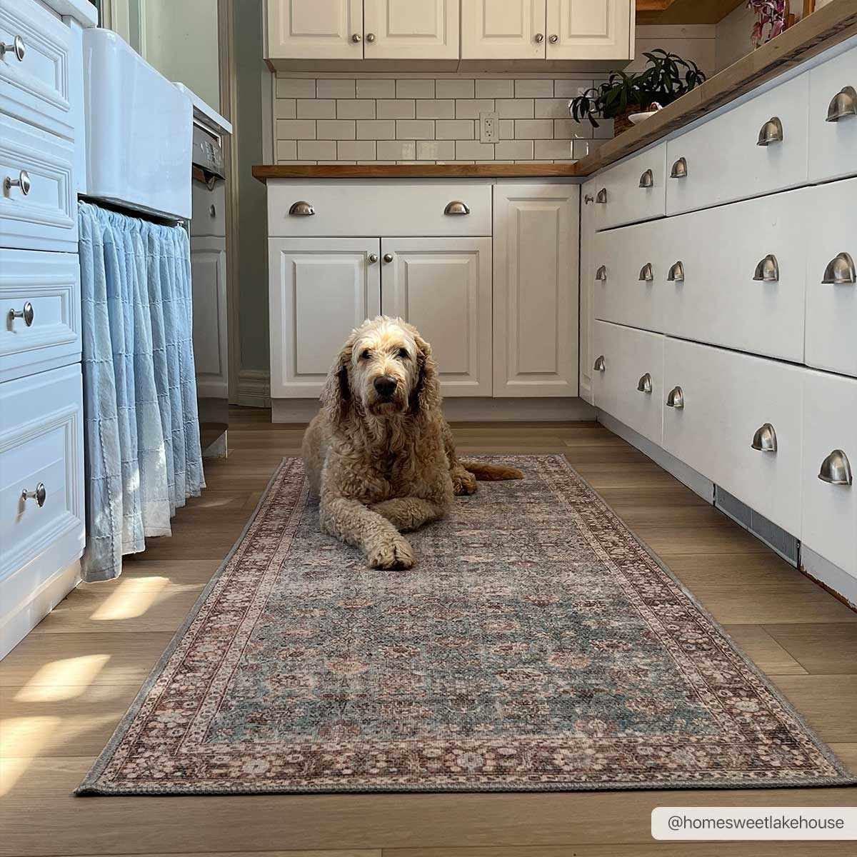 Brown Blue Dauis Vintage Washable Rug - Decor Addict, LLC