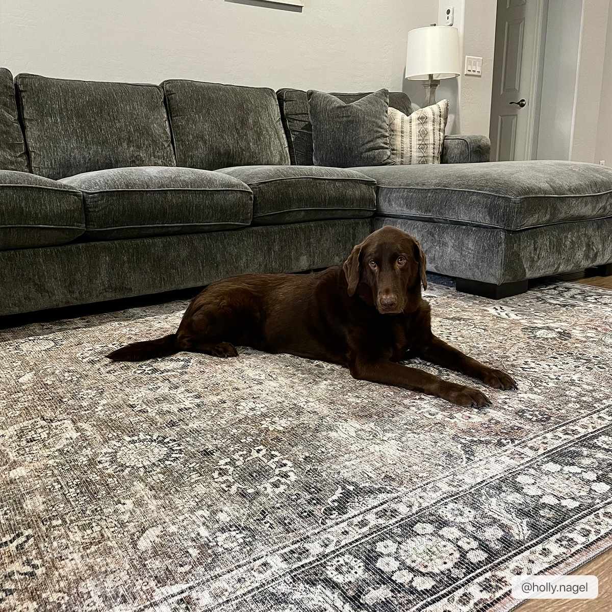 Ganyangan Washable Rug - Decor Addict, LLC