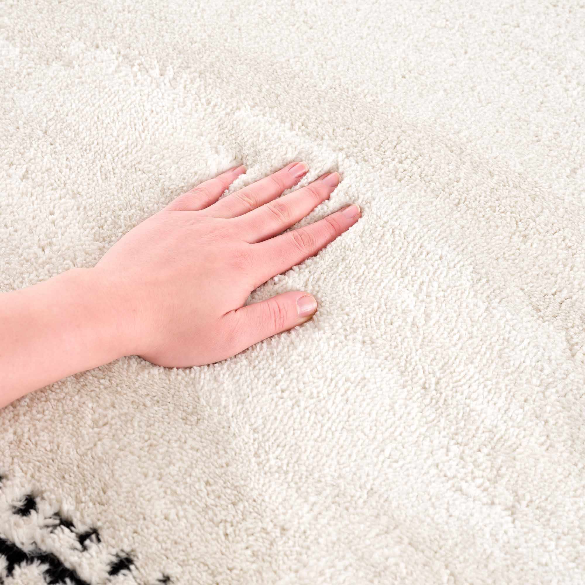 Ryuu Black & White Area Rug - Decor Addict, LLC