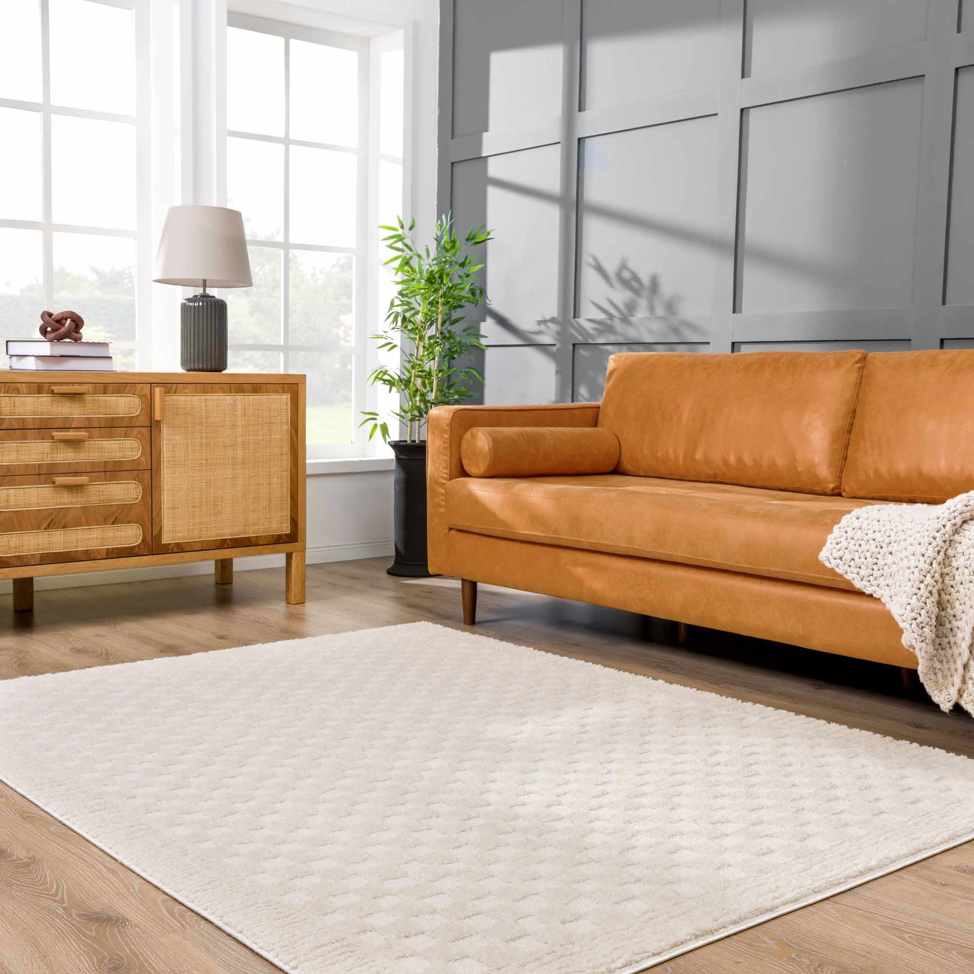 Leryn Ivory Checkered Area Rug - Decor Addict, LLC