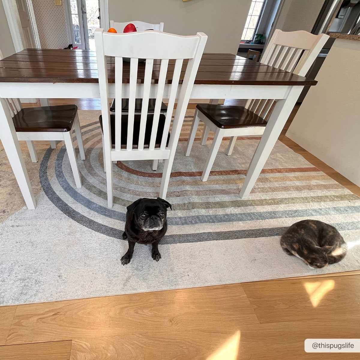 Giza Washable Area Rug - Decor Addict, LLC