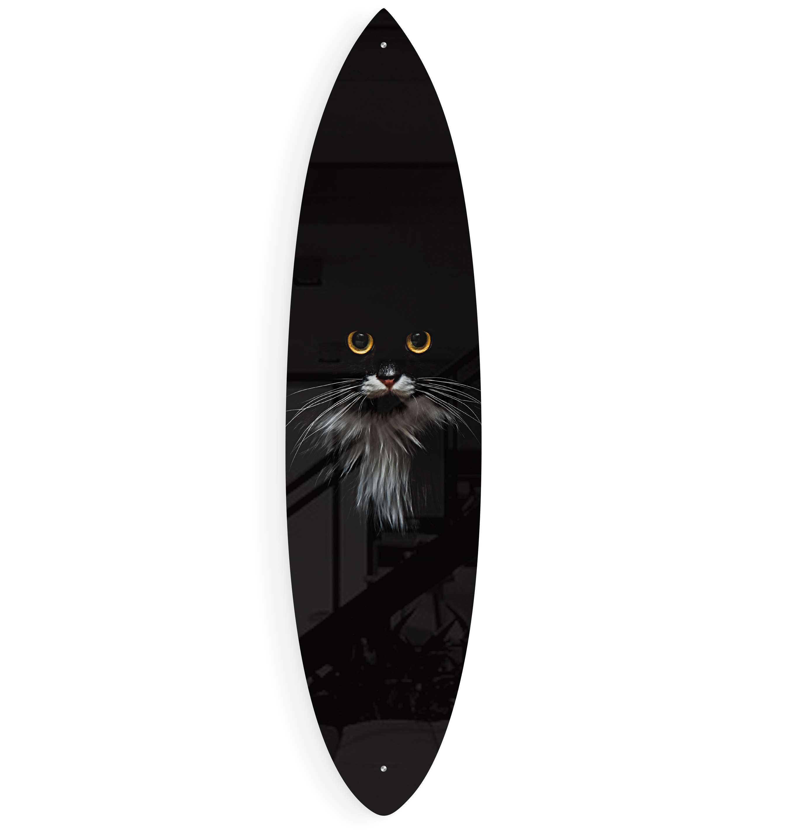 Black Cat Pattern Acrylic Surfboard Wall Art - Decor Addict, LLC