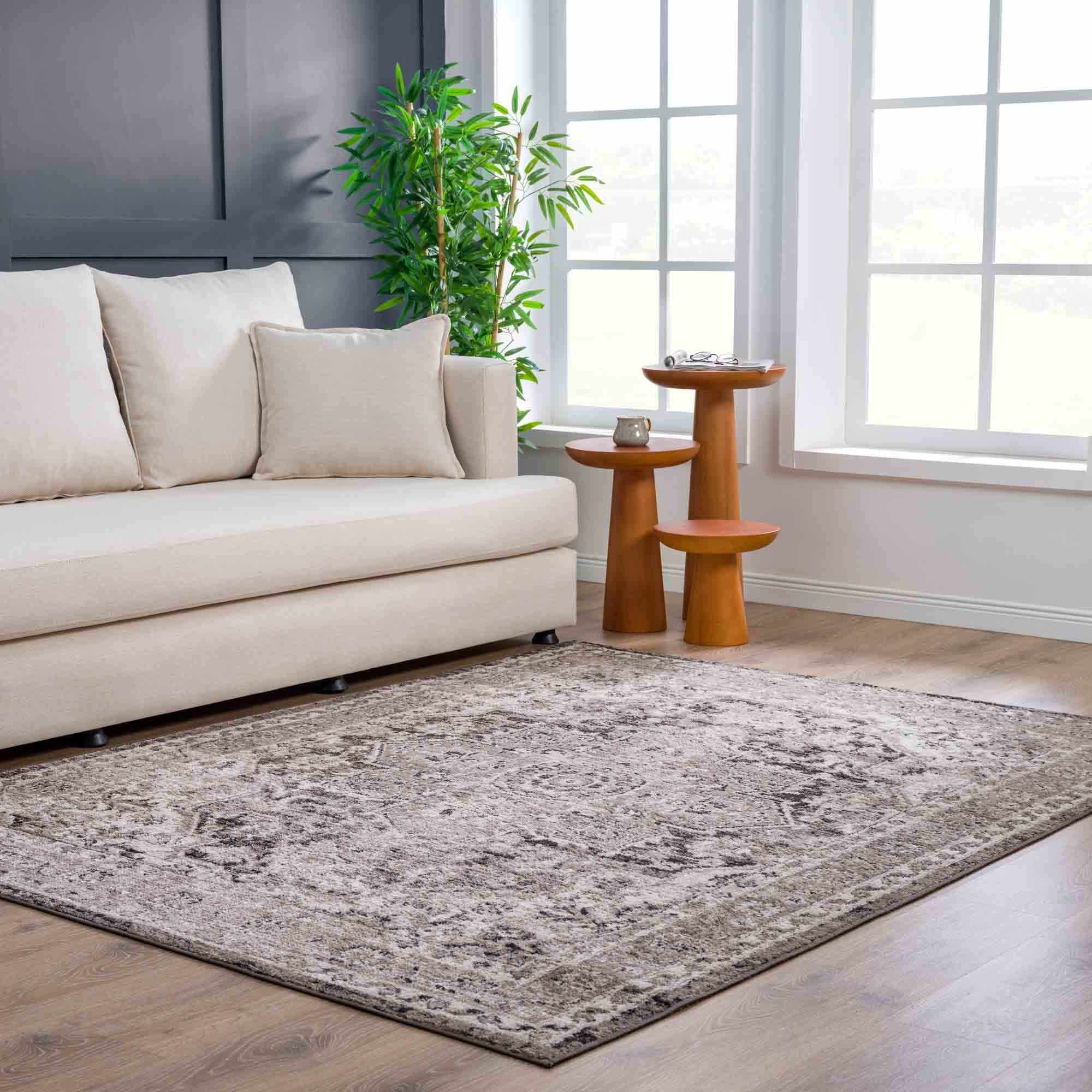 Albie Charcoal & Beige Area Rug - Decor Addict, LLC
