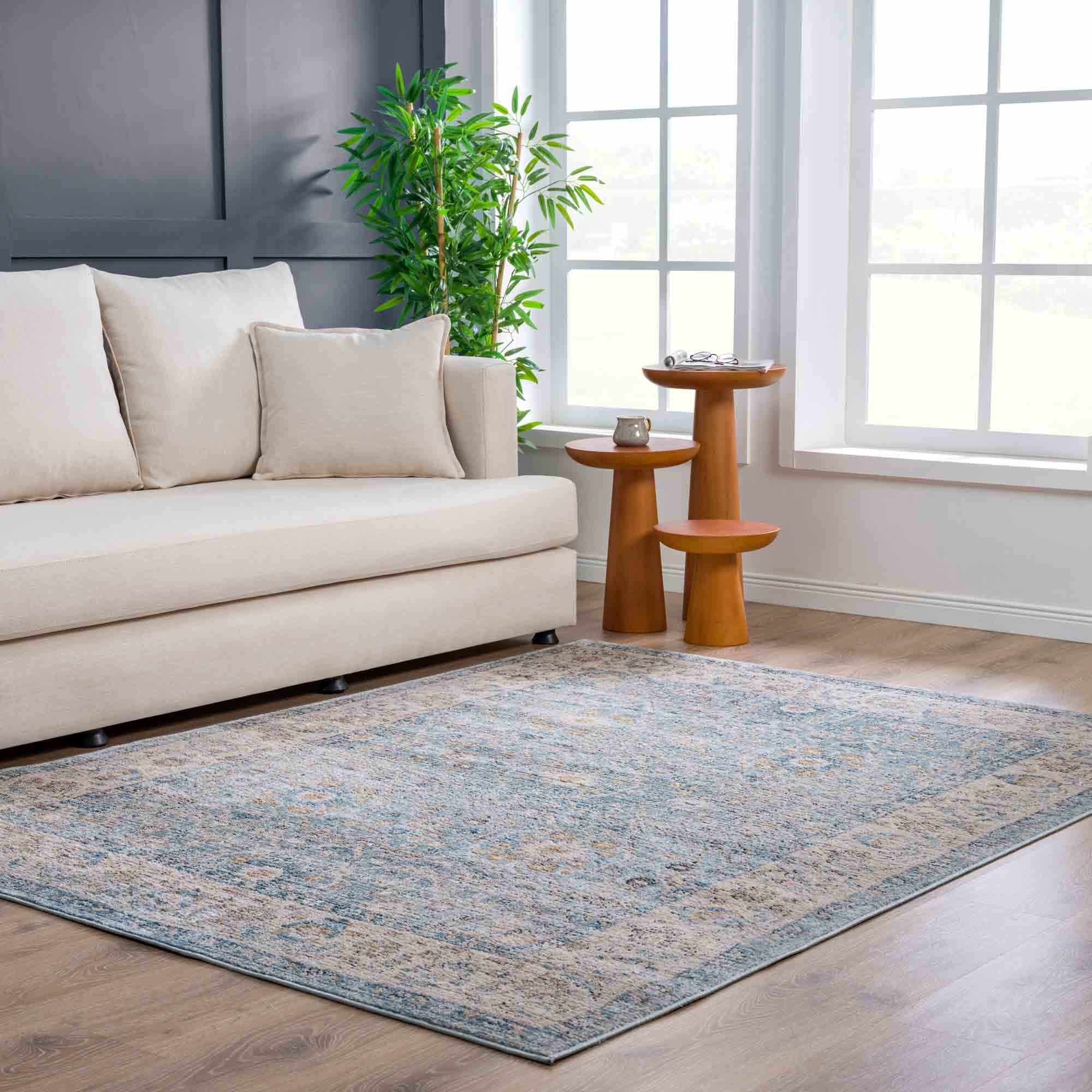 Anana Silver Blue & Beige Area Rug - Decor Addict, LLC