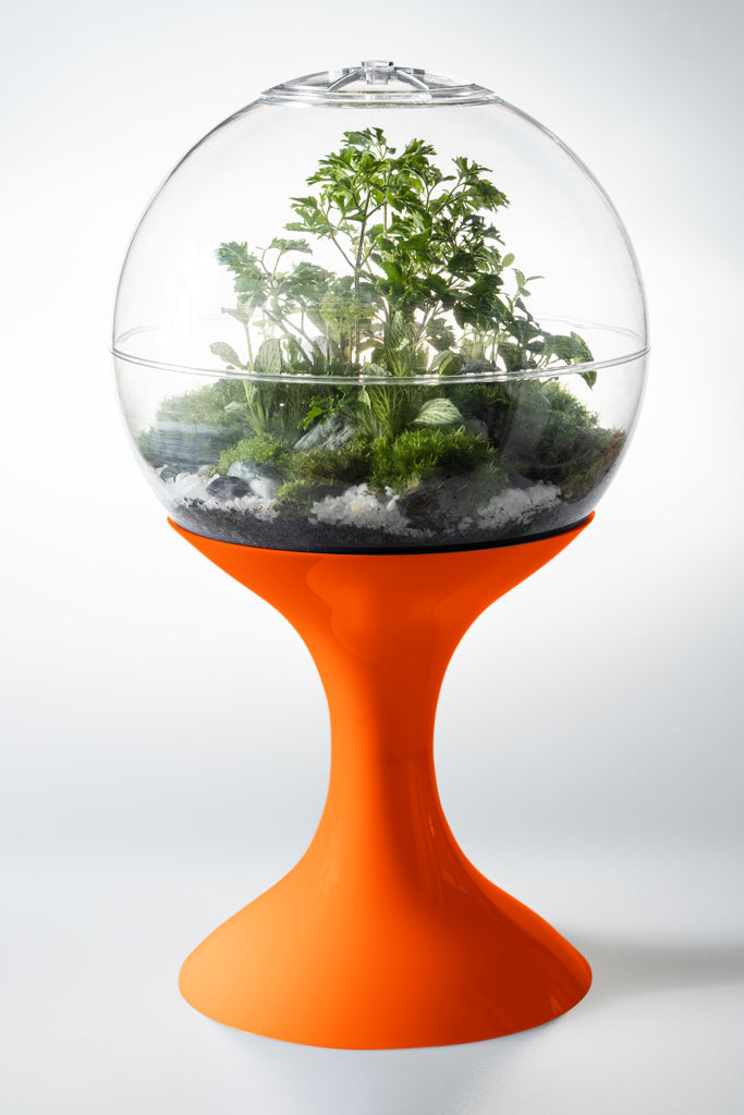 Atomic Space Age Terrarium - Decor Addict, LLC