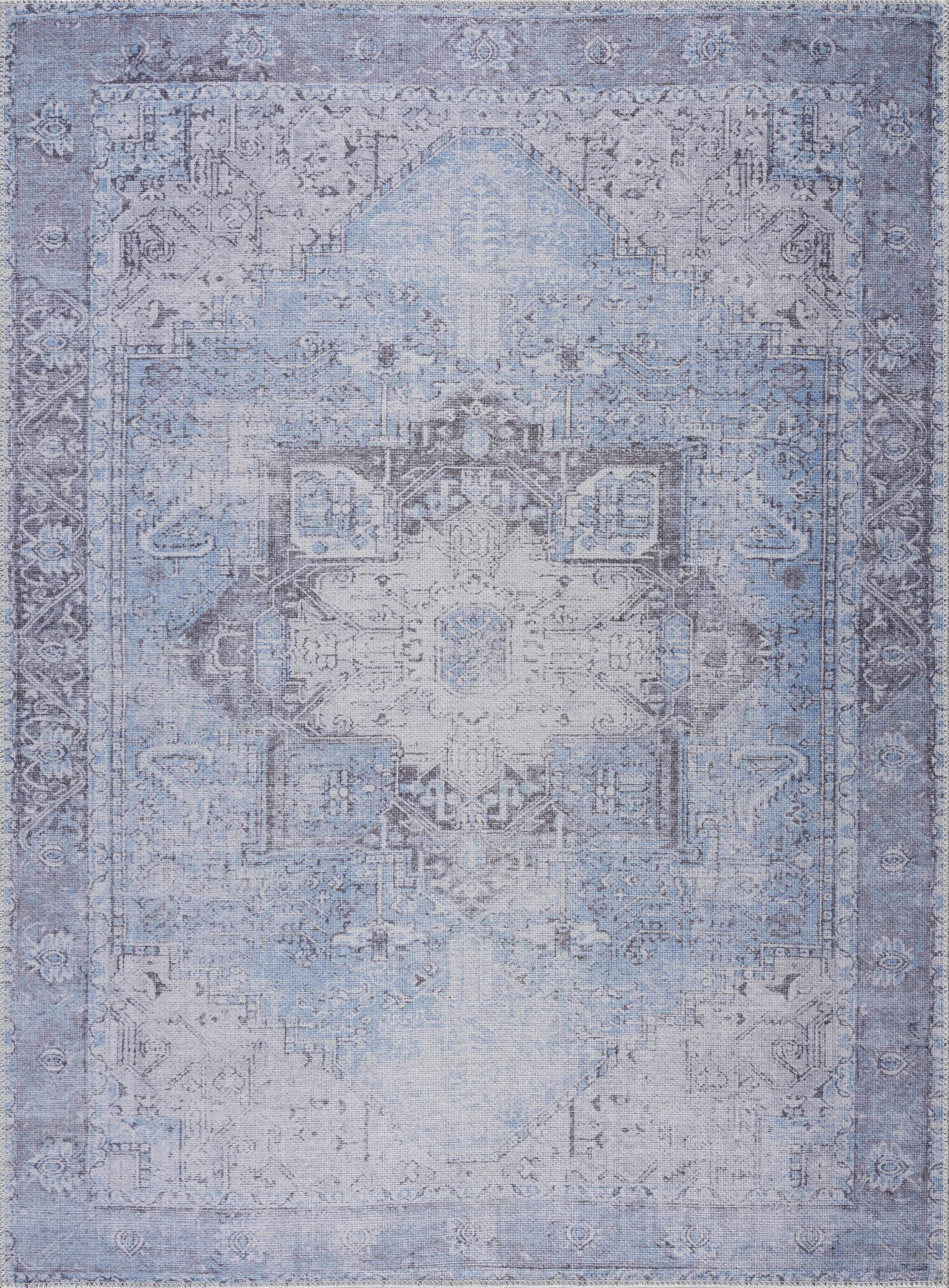 Aqua Rosman Washable Area Rug - Decor Addict, LLC