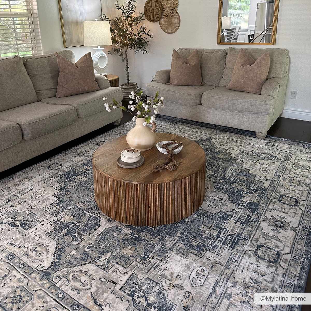 Telina Area Rug - Decor Addict, LLC