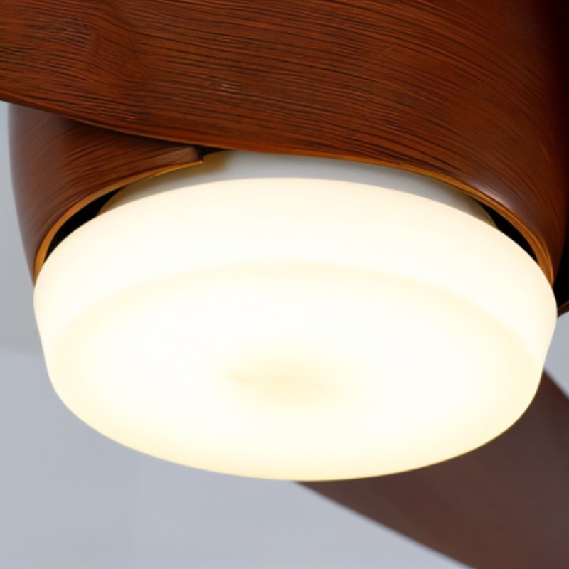 Akash Ceiling Fan - Decor Addict, LLC