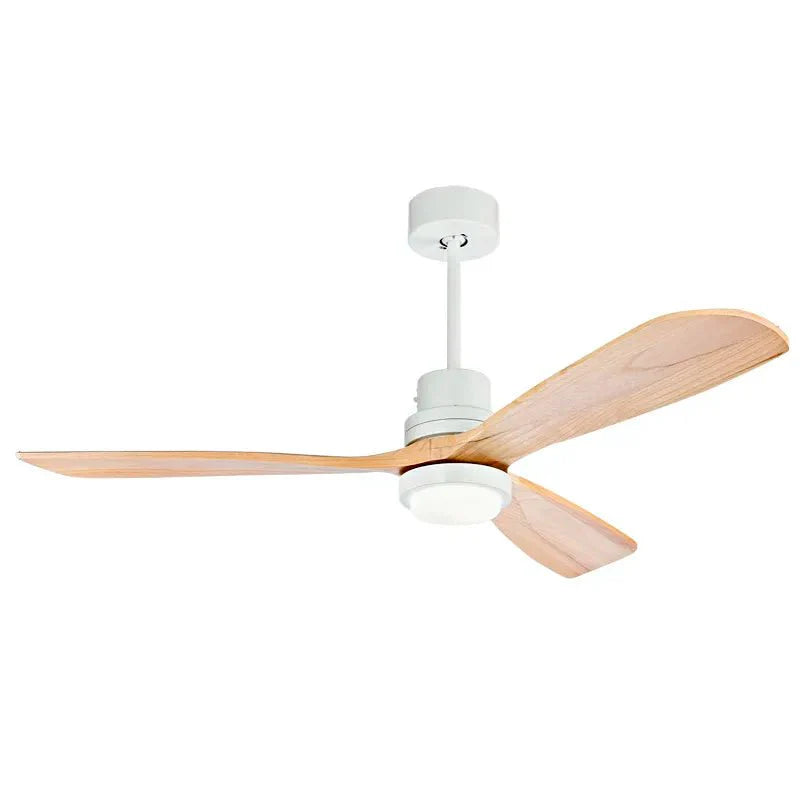 Anemone Ceiling Fan - Decor Addict, LLC