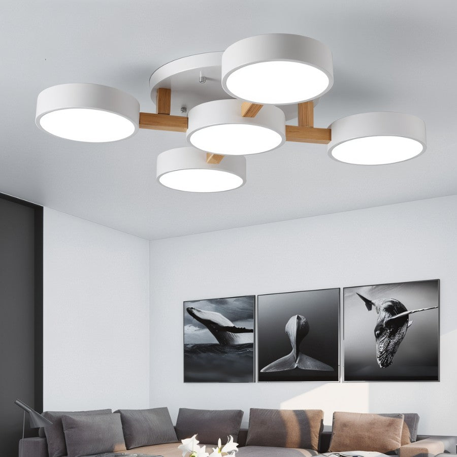 Ashane Ceiling Light - Decor Addict, LLC