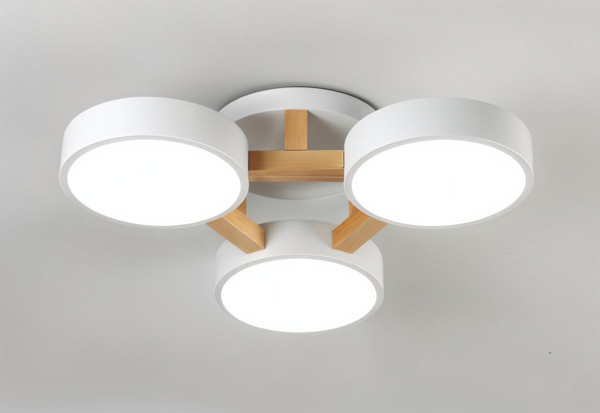 Ashane Ceiling Light - Decor Addict, LLC