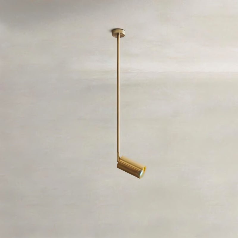 Aurea Ceiling Light - Decor Addict, LLC