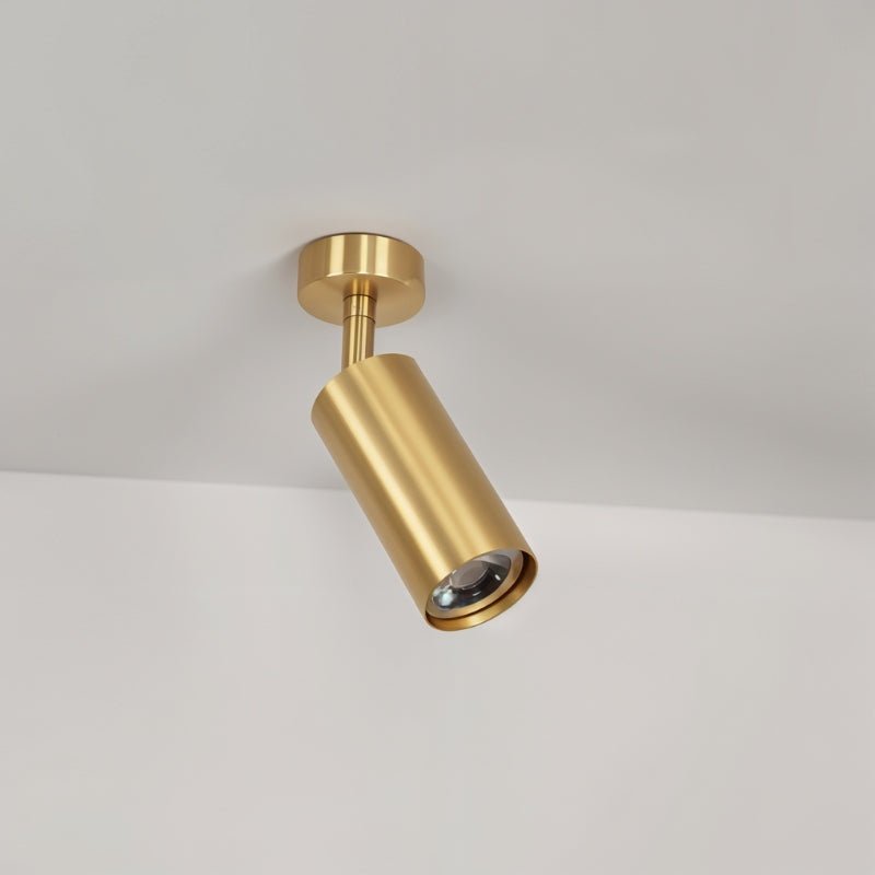 Aurea Ceiling Light - Decor Addict, LLC