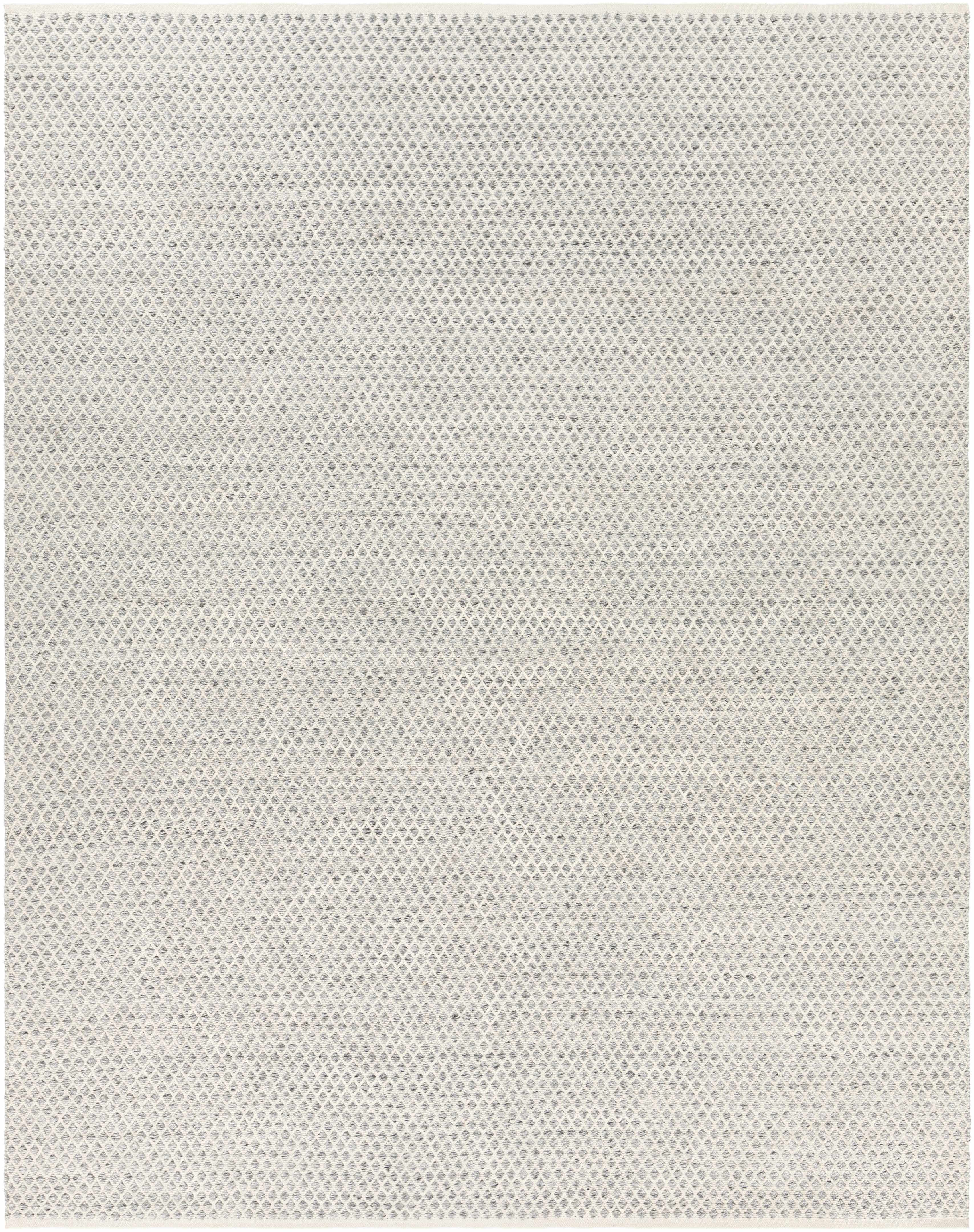 Dongara Flatweave Performance Rug - Decor Addict, LLC