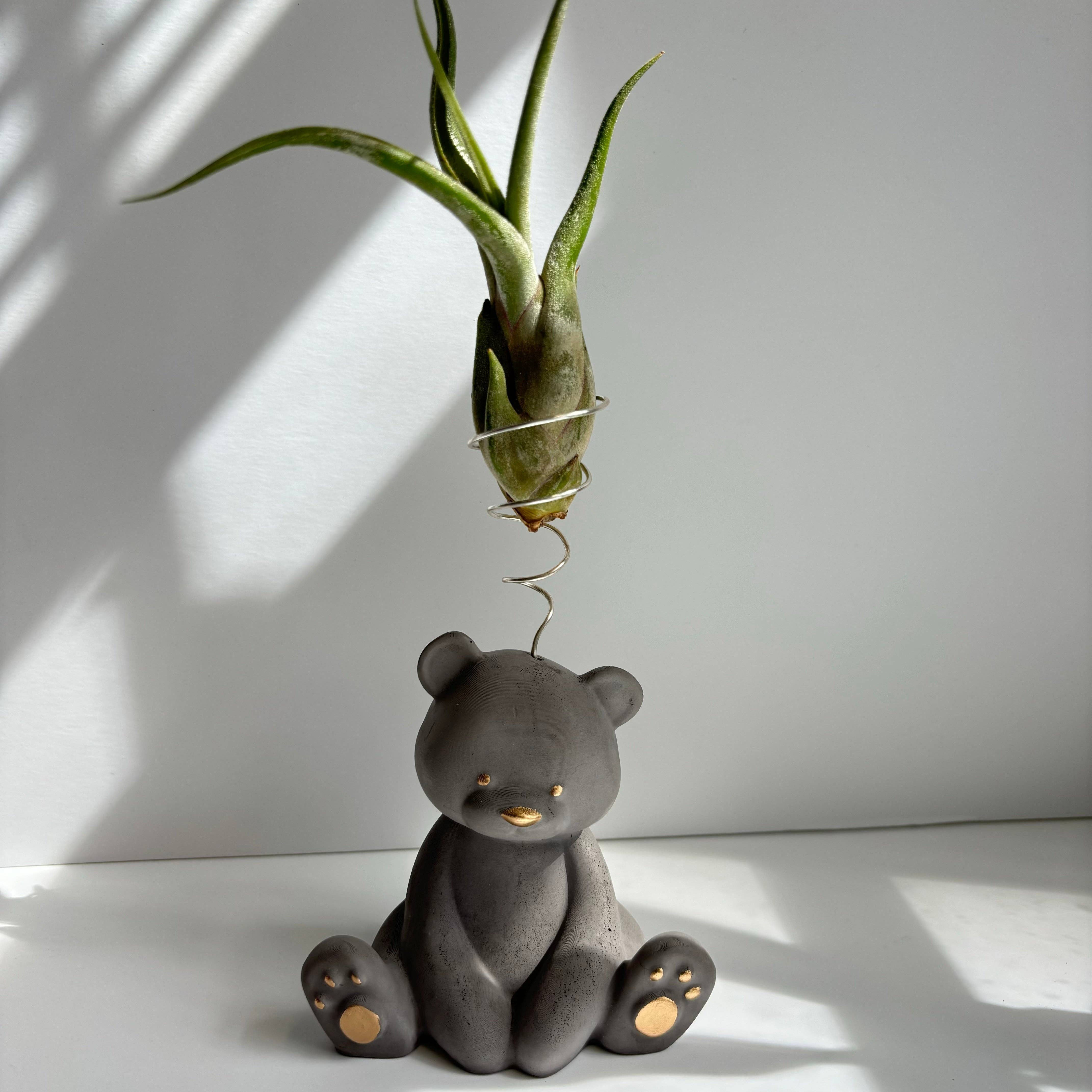 Bear Air Plant Holder: Black Noir - Decor Addict, LLC