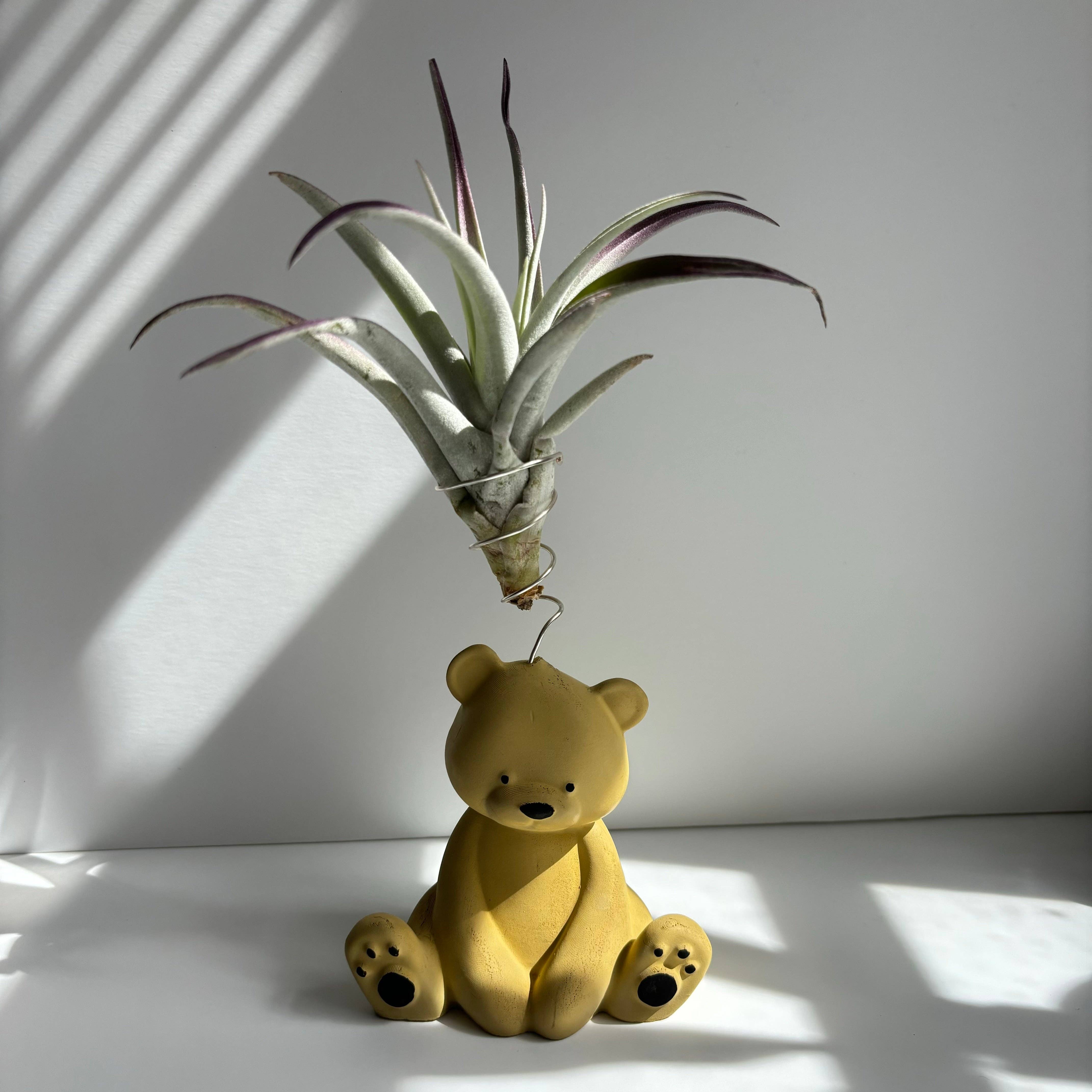 Bear Air Plant Holder: Pink - Decor Addict, LLC