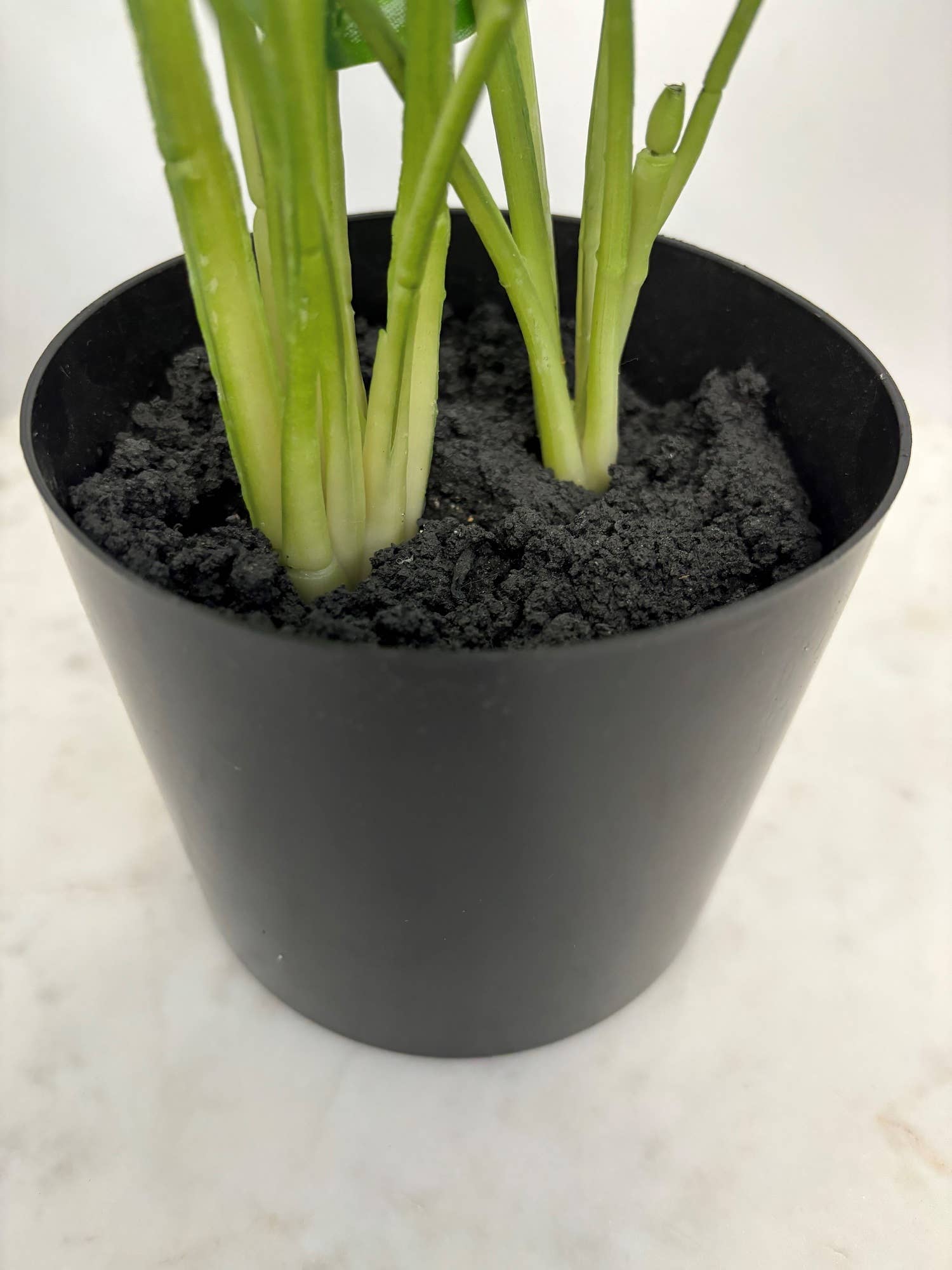 Faux Marantaceae w/ Pot 21"H: PVC GRASS / PLASTIC POT - Decor Addict, LLC