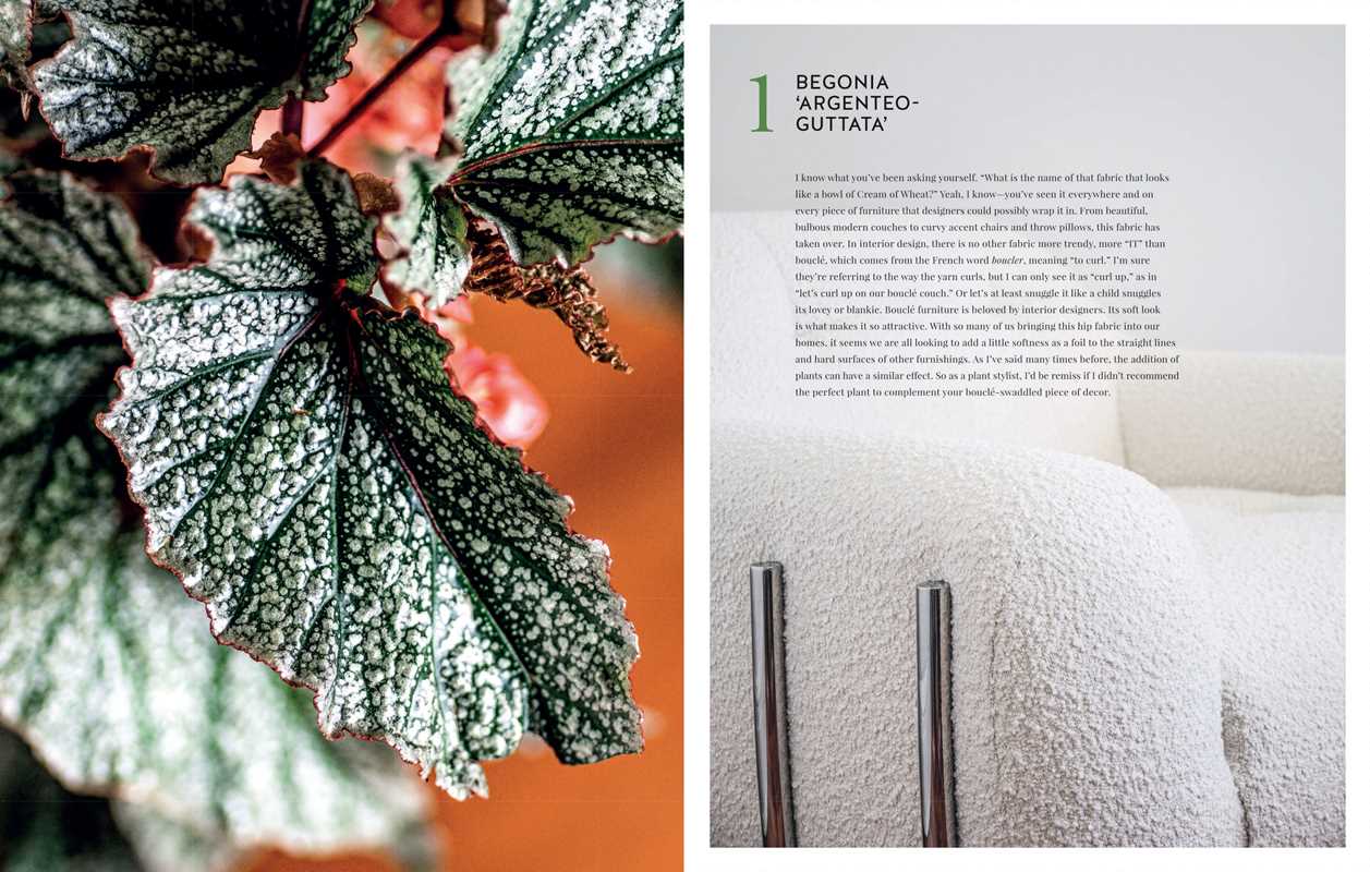 Living Wild by Hilton Carter: Hardcover; 224 pages / English - Decor Addict, LLC