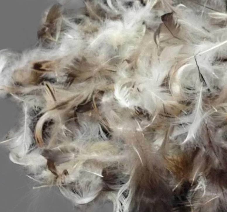 Down Feather Throw Pillow Insert: 24" x 24" - Decor Addict, LLC