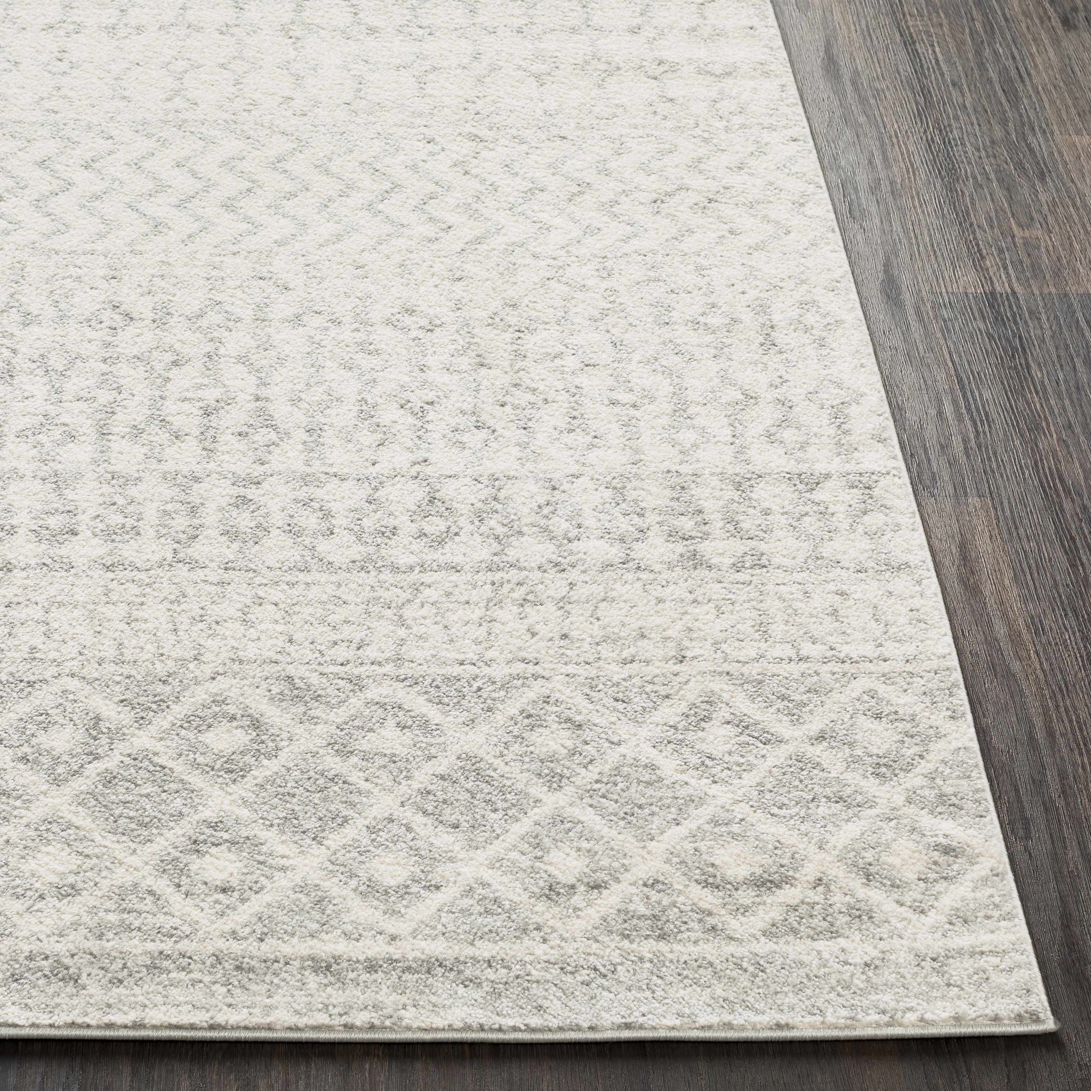 Constantin Gray Area Rug - Decor Addict, LLC