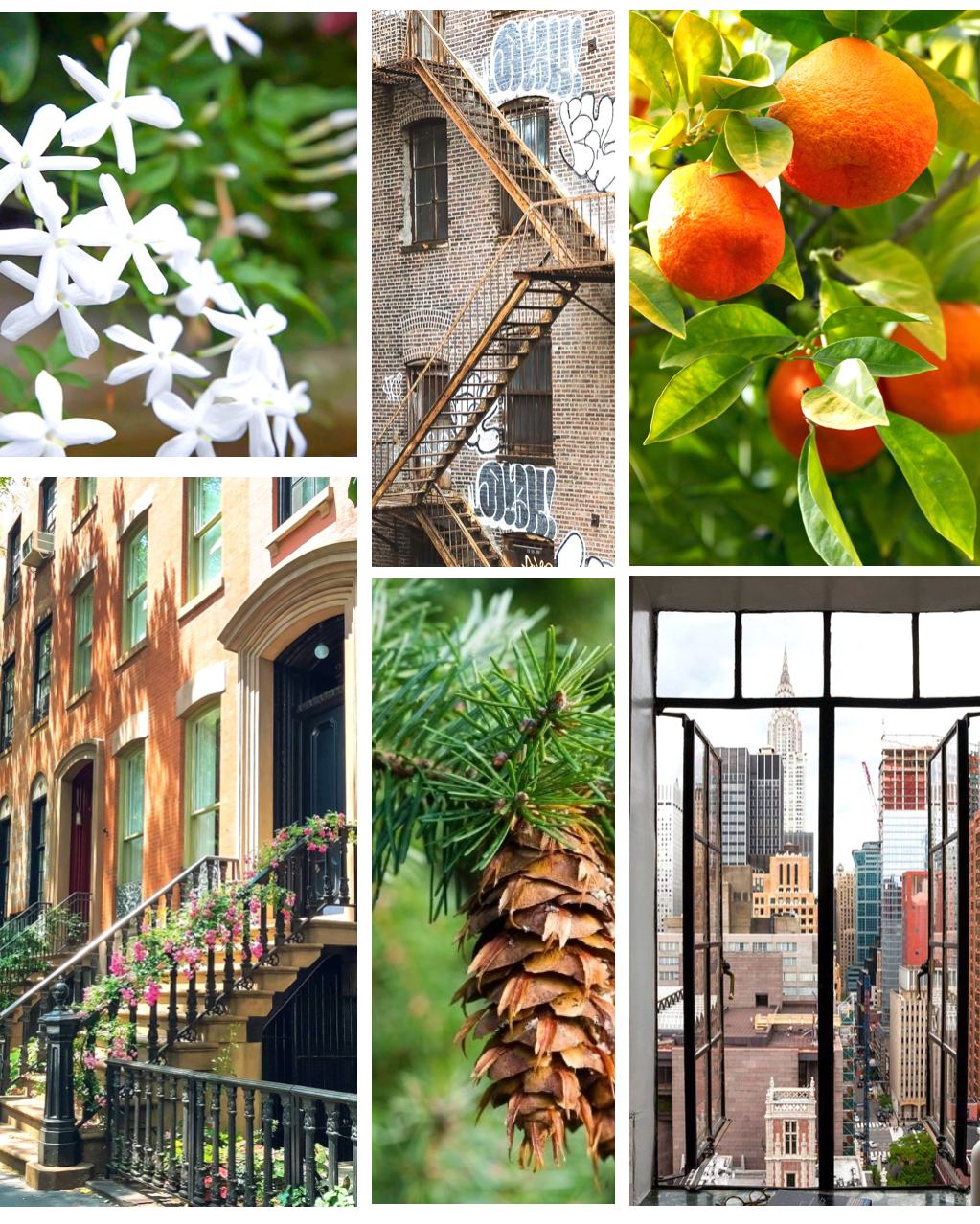 New York Scent Sticks - Decor Addict, LLC