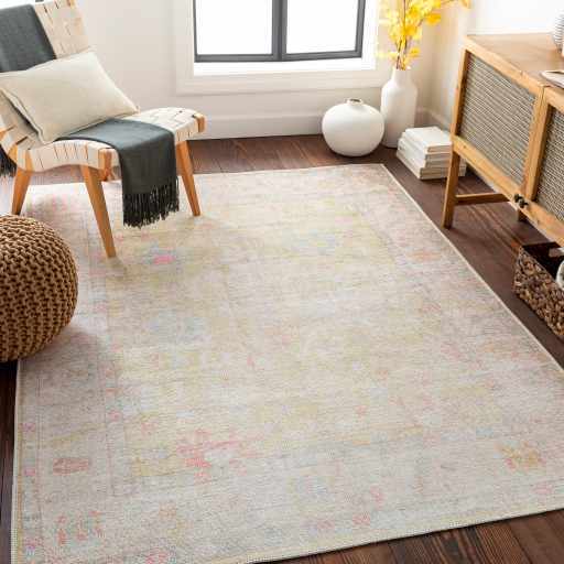 Bozkurt Distressed Washable Rug - Decor Addict, LLC