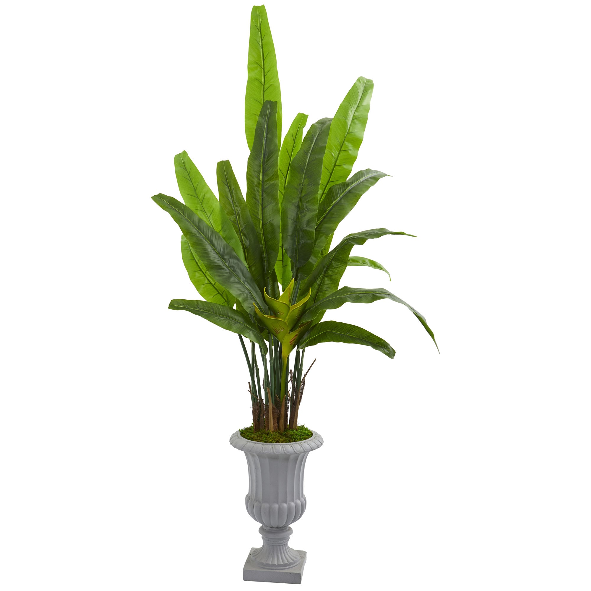 5.5’ Travelers Palm Artificial Tree in Gray Urn - Decor Addict, LLC