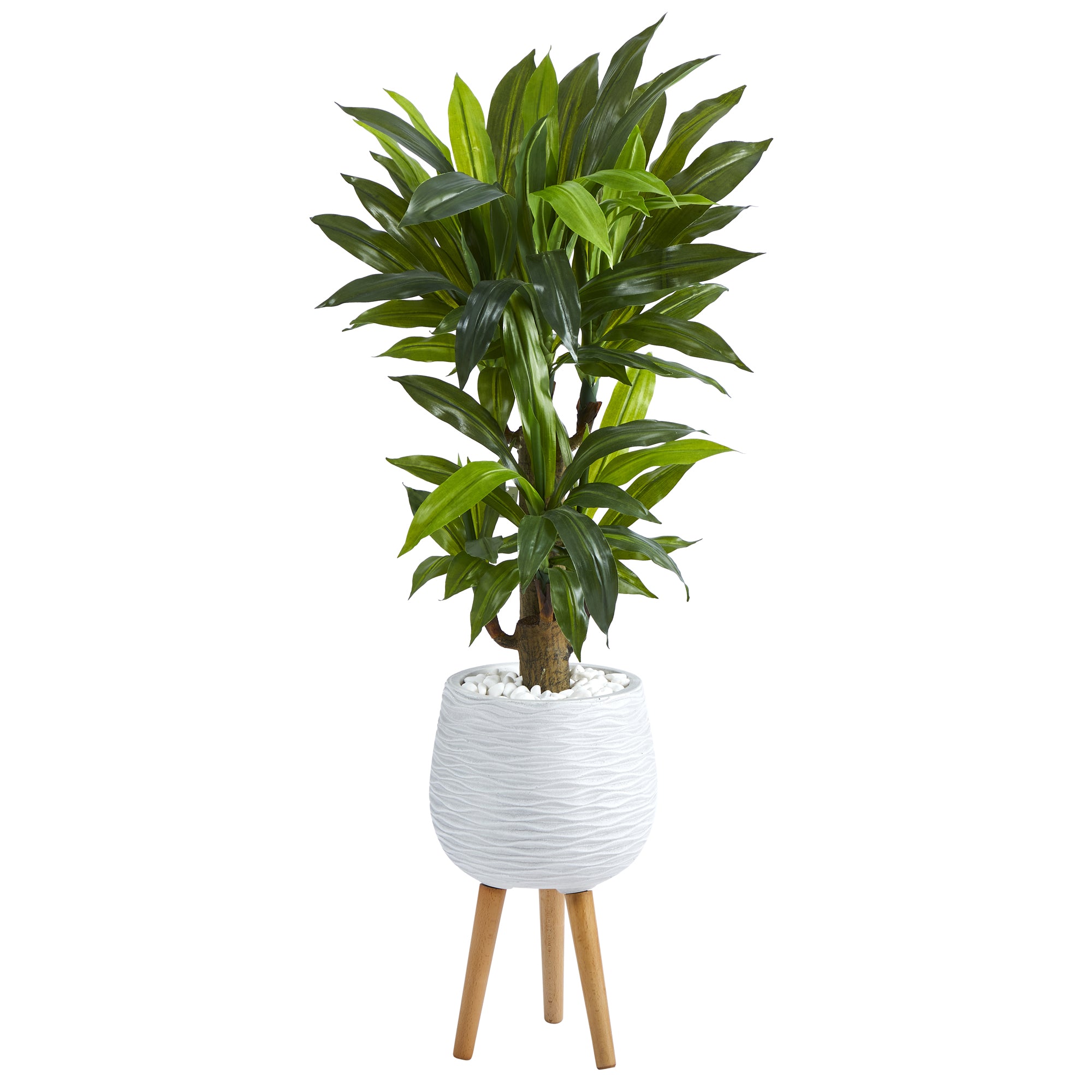 cornstalk dracaena silk plant Nearly Natural 46in. Corn Stalk Dracaena Artificial Plant in White Planter with Stand (Real Touch)