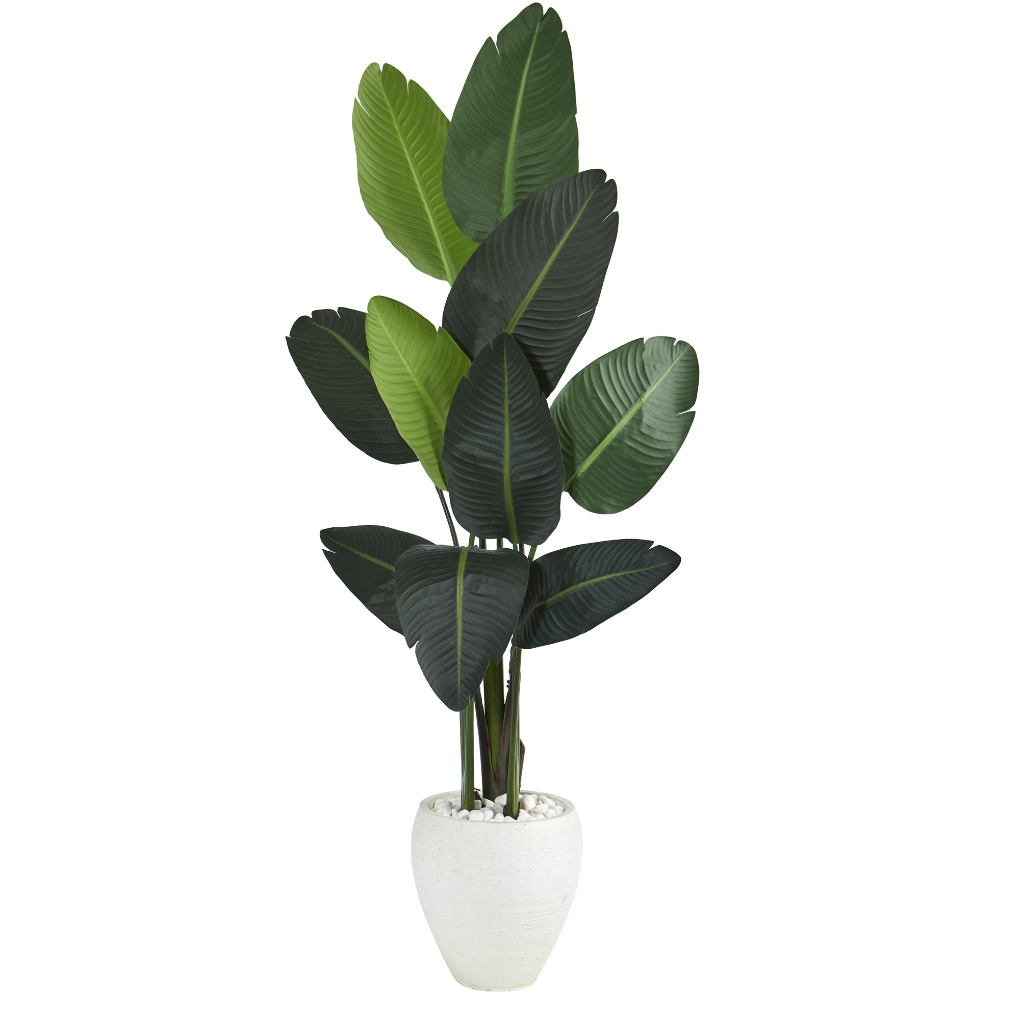 63” Traveler's Palm Artificial tree in White Planter - Decor Addict, LLC