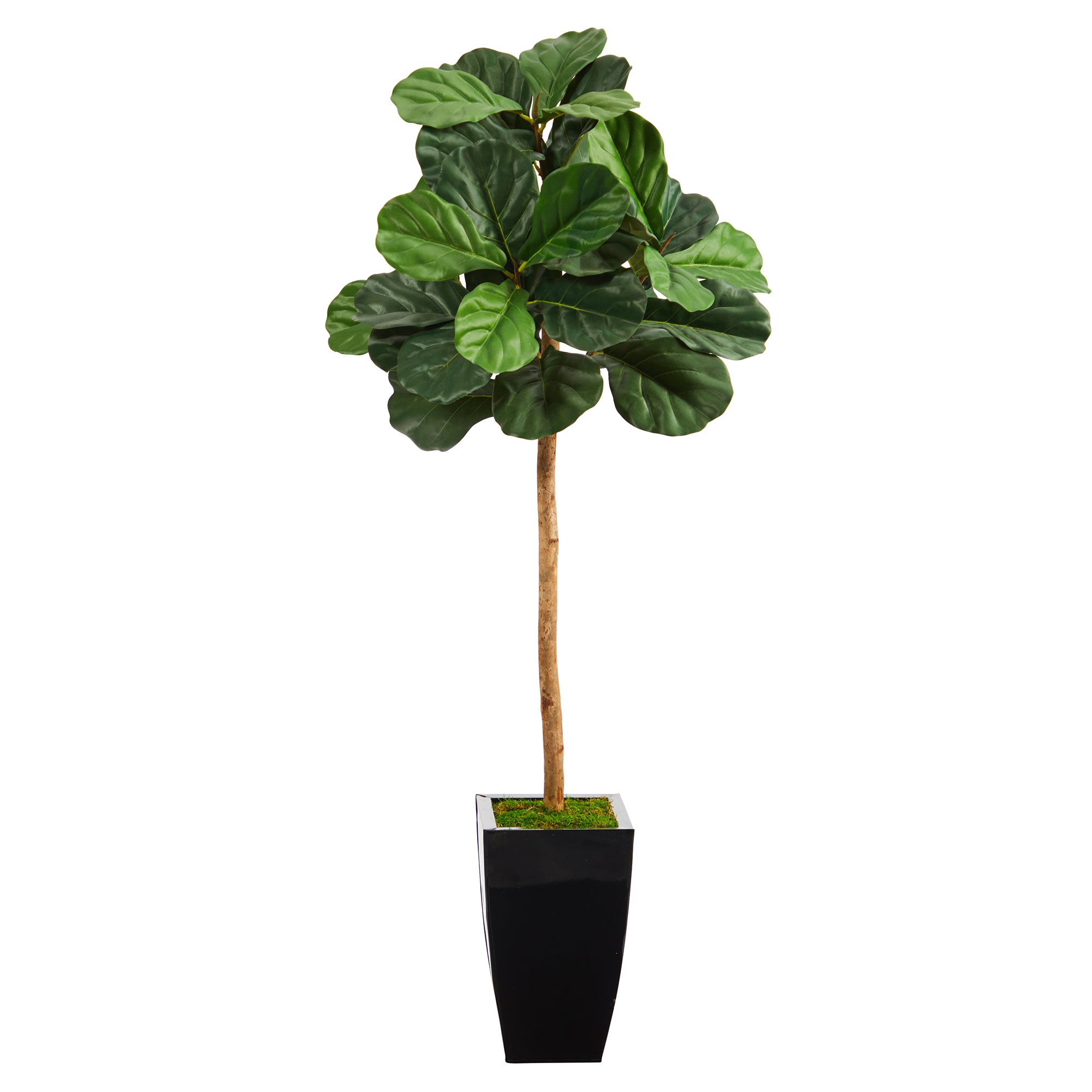 50” Fiddle Leaf Artificial Tree in Black Metal Planter - Decor Addict, LLC
